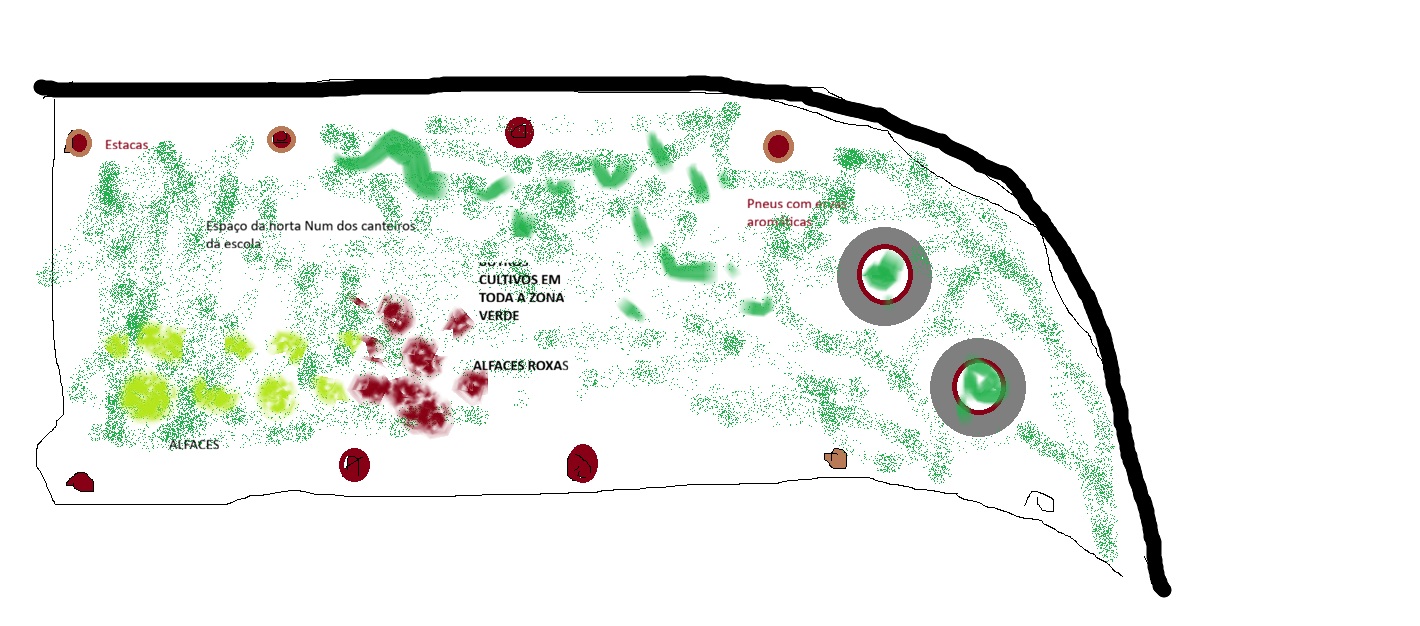 ESPAÇO PARA A HORTA - num dos canteiros do espaço de jardim...
