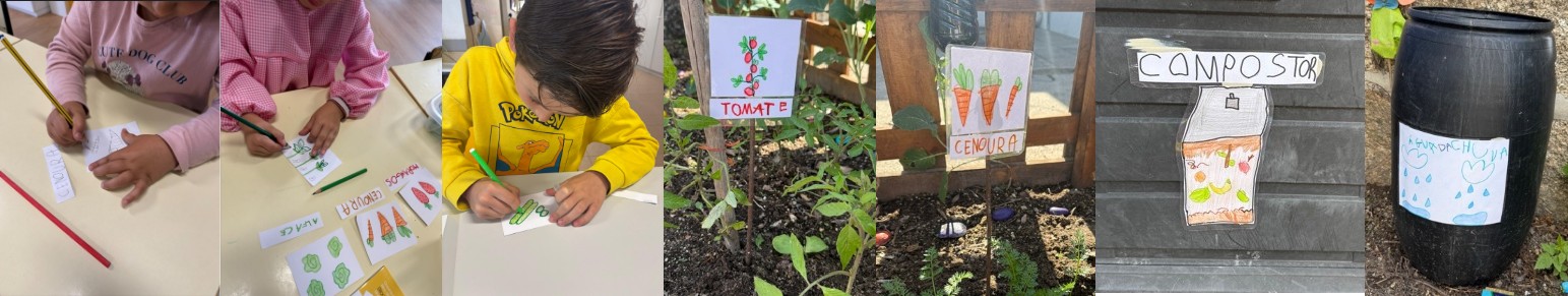 Elaboração e colocação de etiquetas na horta.
