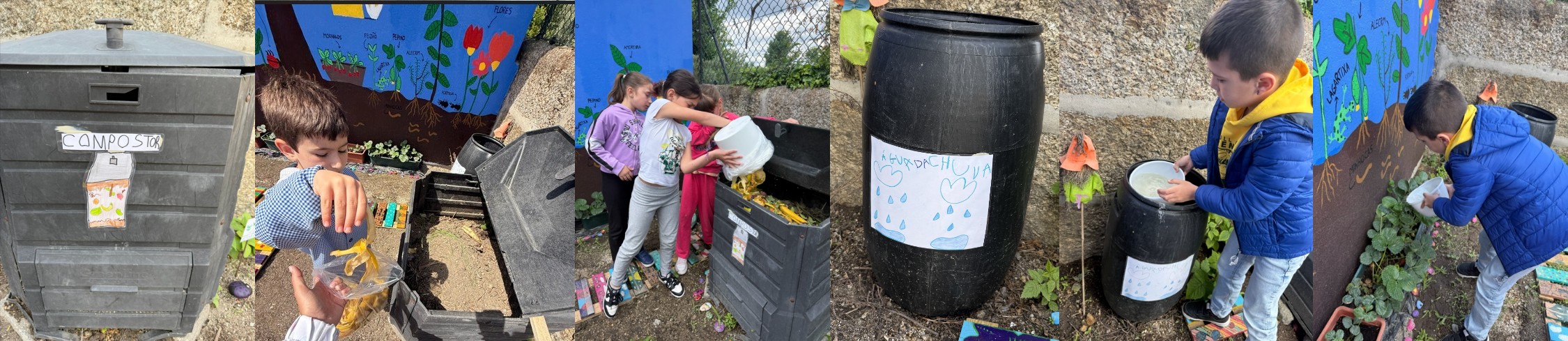 Colocar resíduos orgânicos no compostor e rega das plantas.