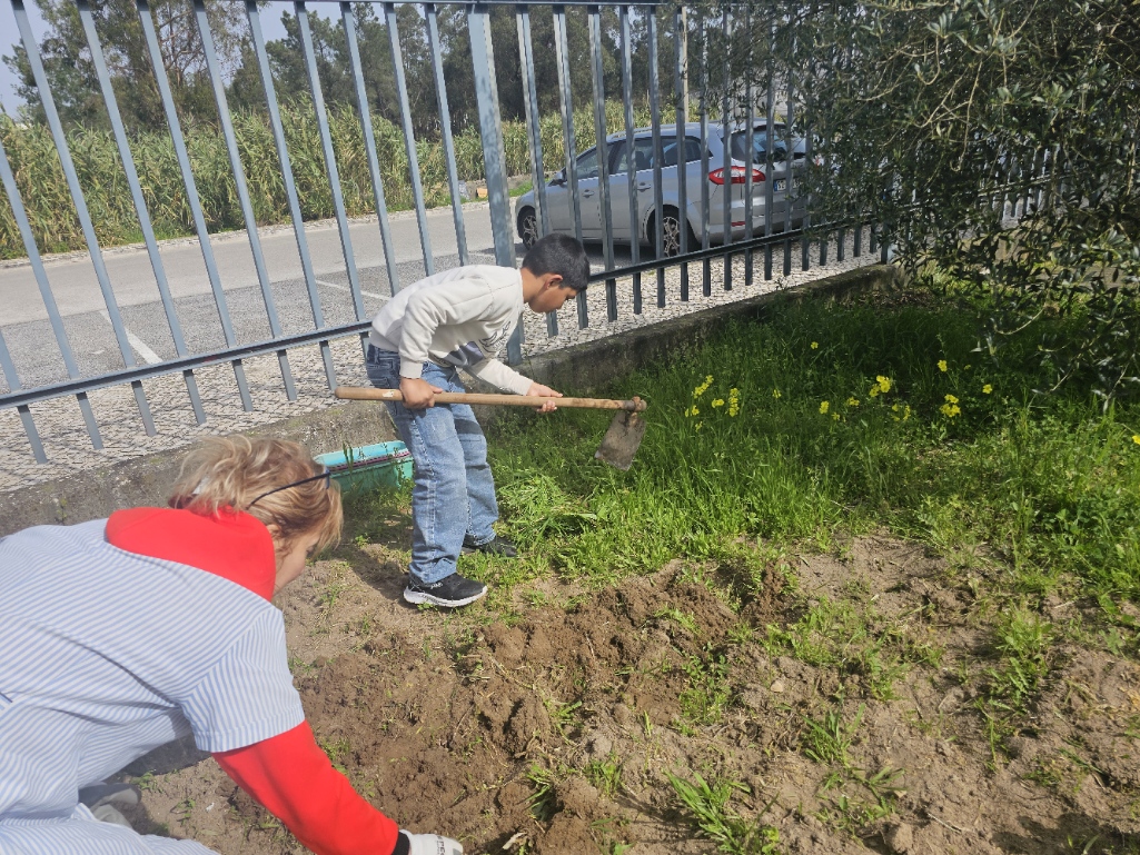 Plantação pelos alunos eauxiliares na horta da escola das plantas compradas no mercado.