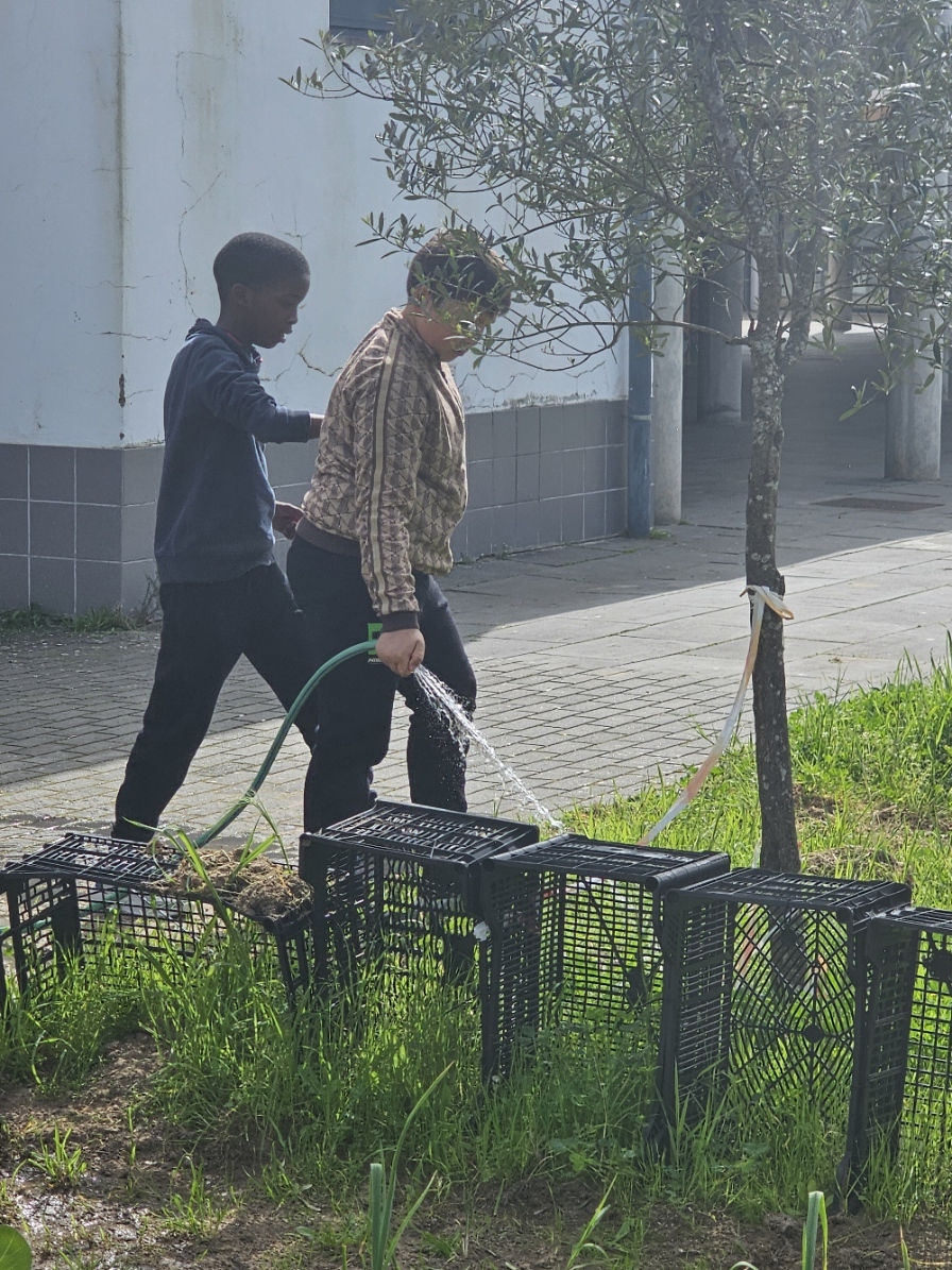 Rega das plantas plantadas pelos alunos.