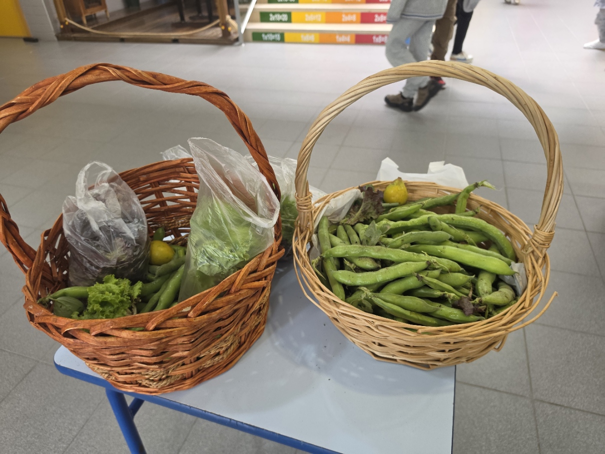 Produtos hortícolas recolhidos da nossa horta e expostos para venda na escola a professores e funcionários.