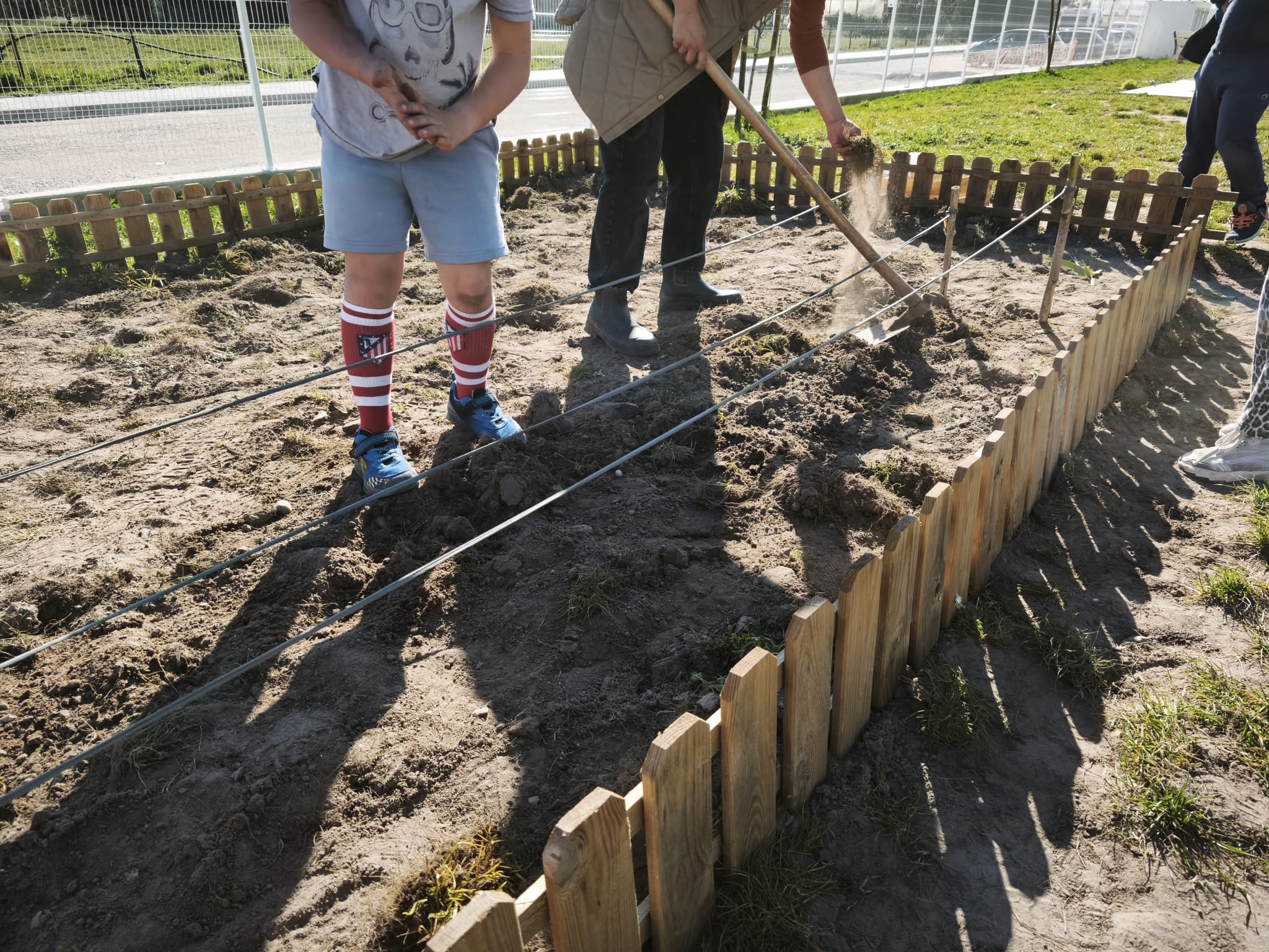 Preparação do terreno e observação de biodiversidade na horta escolar. Plantação das primeiras plantas na nova horta.