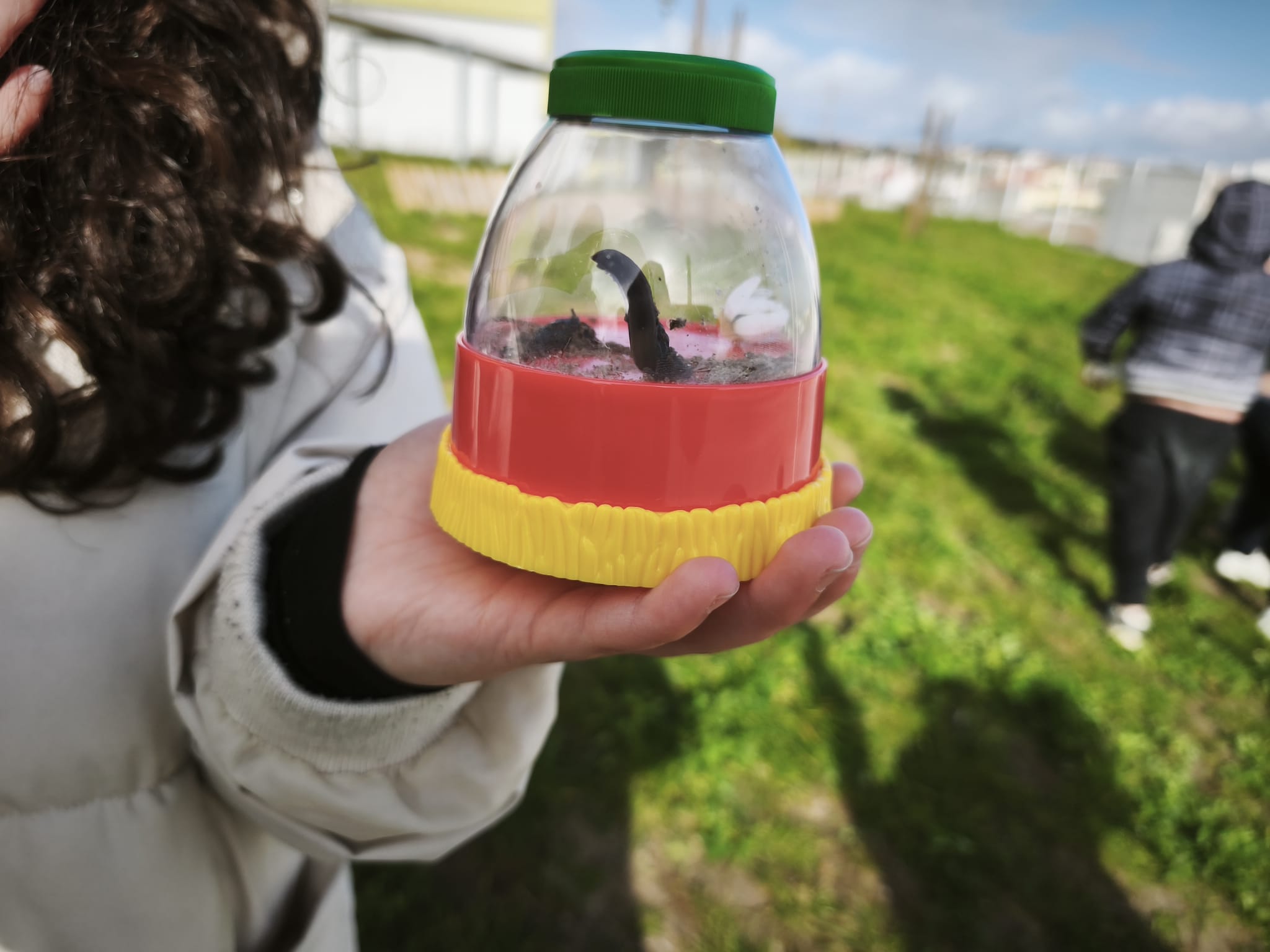 Preparação do terreno e observação de biodiversidade na horta escolar. Plantação das primeiras plantas na nova horta.