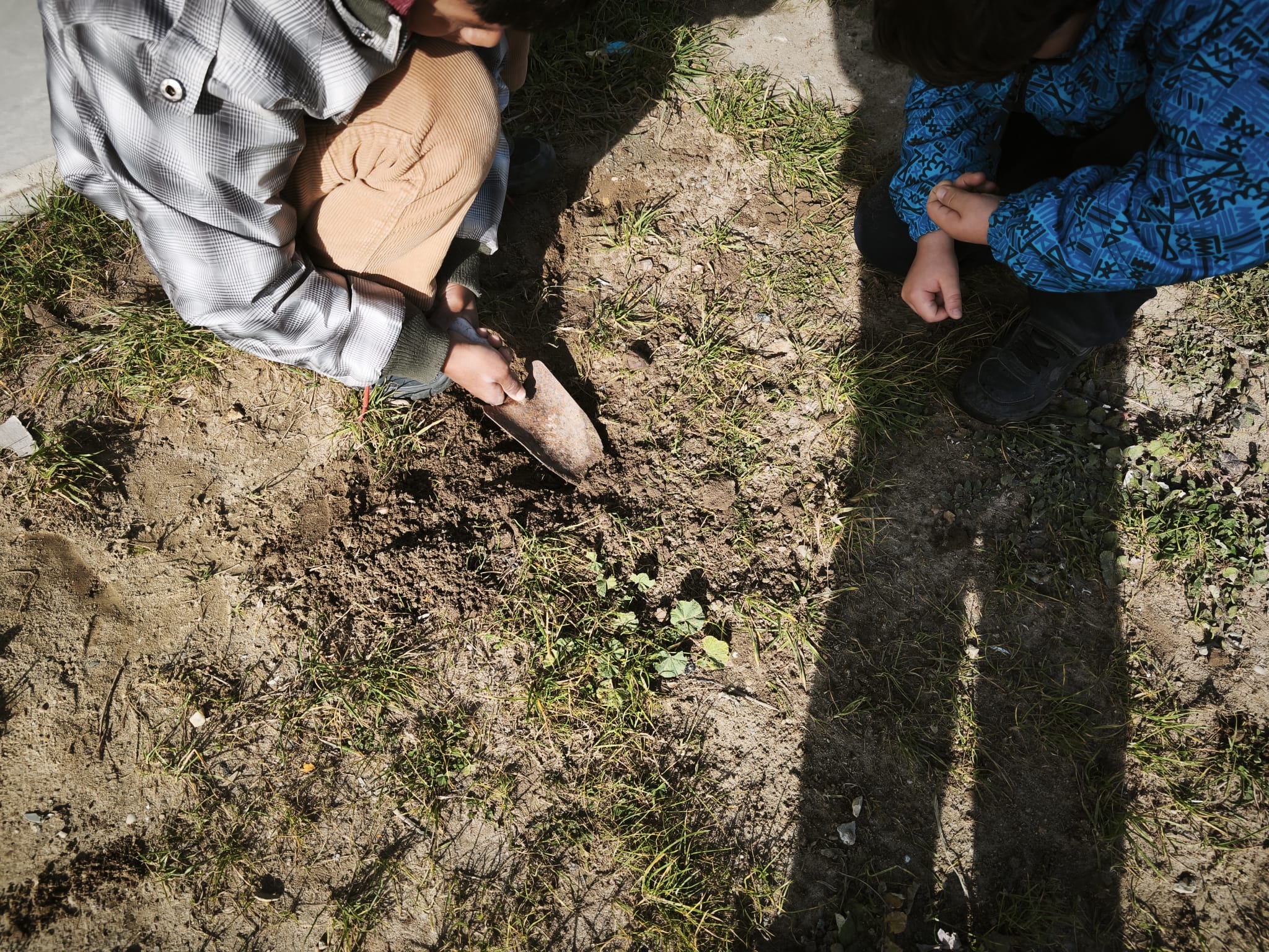 Preparação do terreno e observação de biodiversidade na horta escolar. Plantação das primeiras plantas na nova horta.