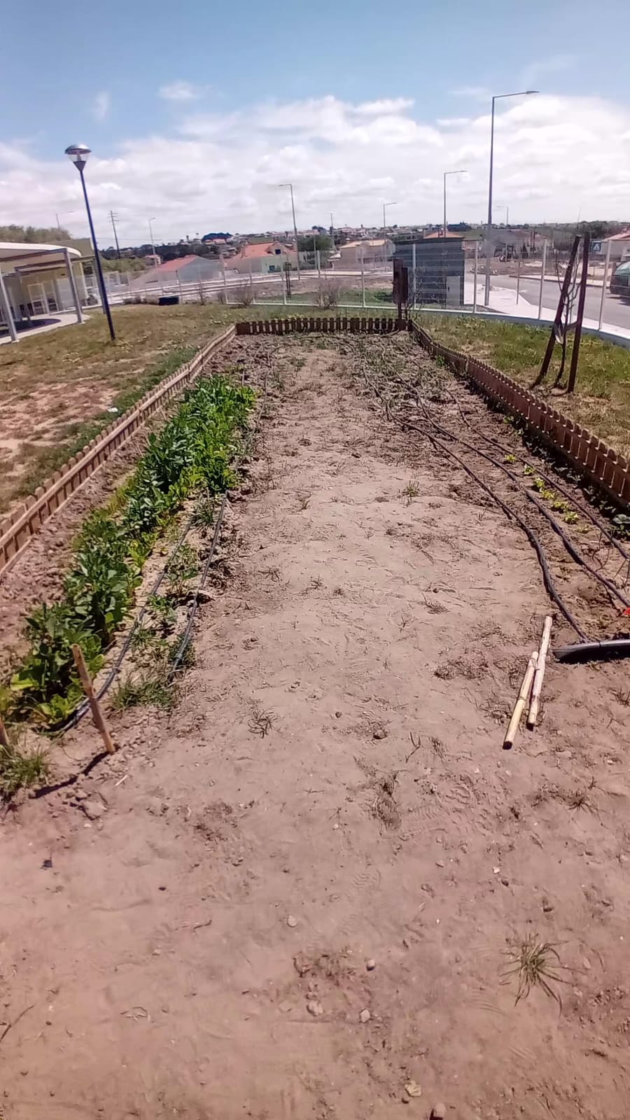 A nossa horta.