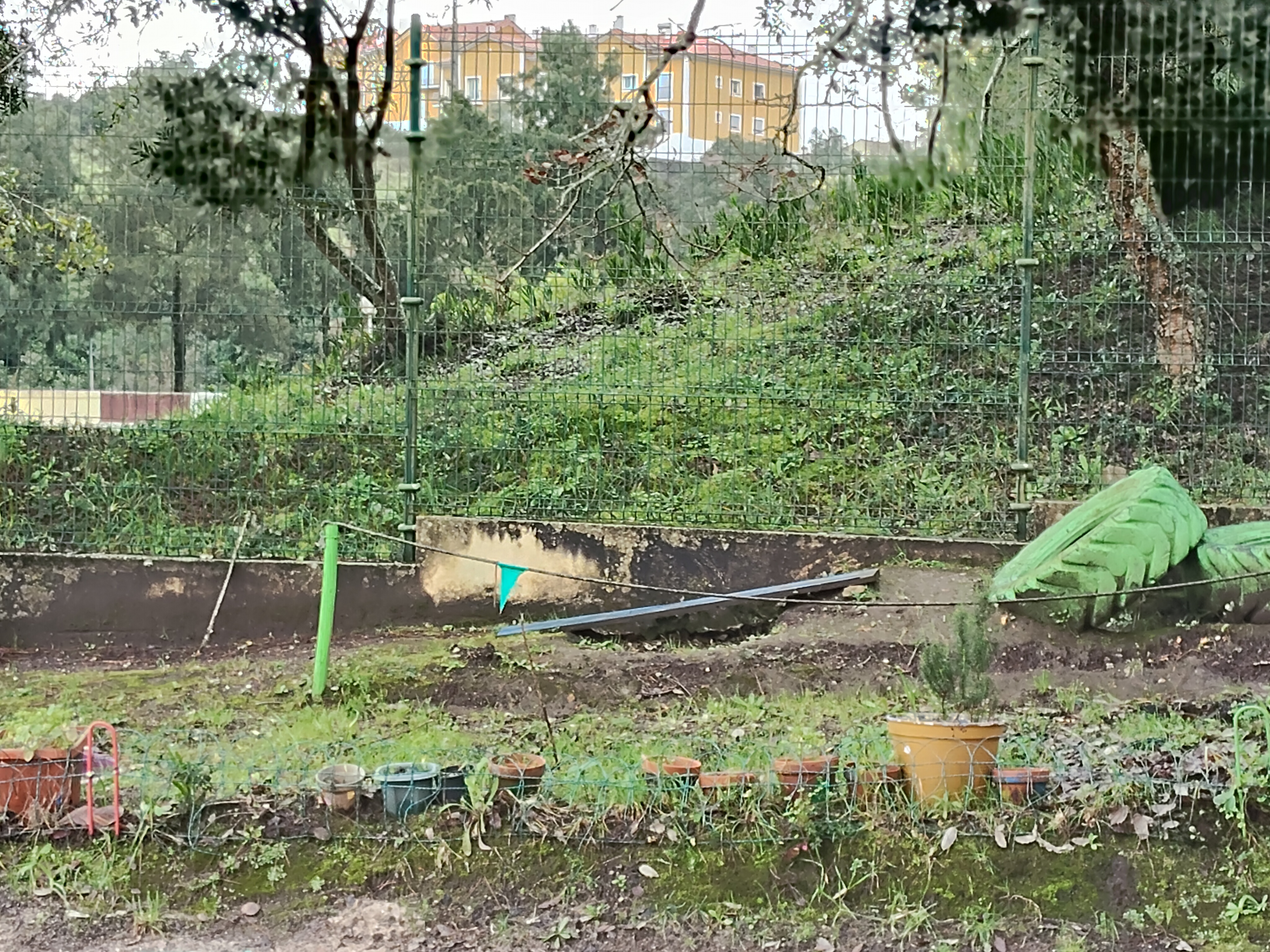 Esta é a nossa horta. Ainda não está cuidada!