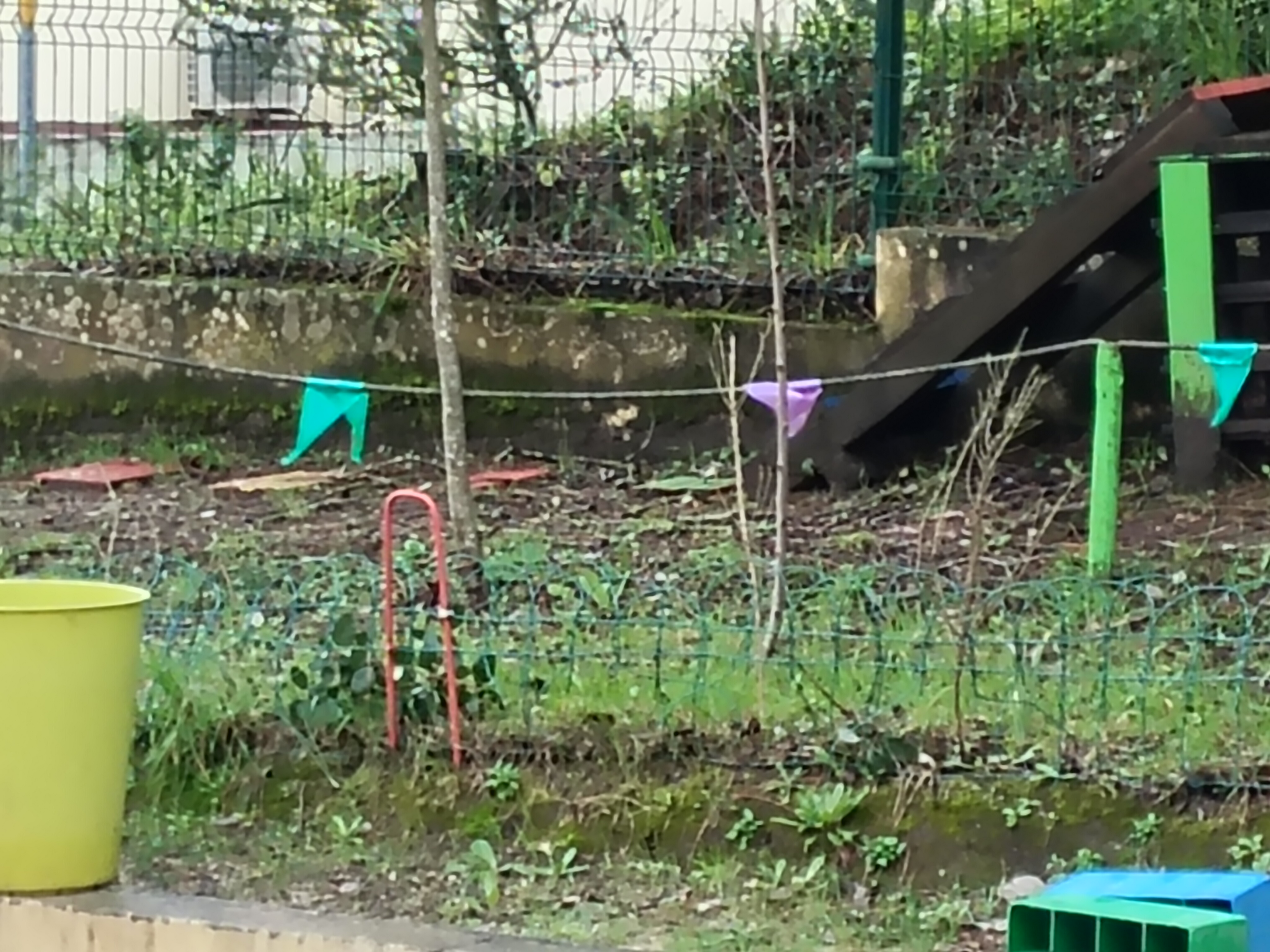 A nossa horta tem muitas ervas daninhas...