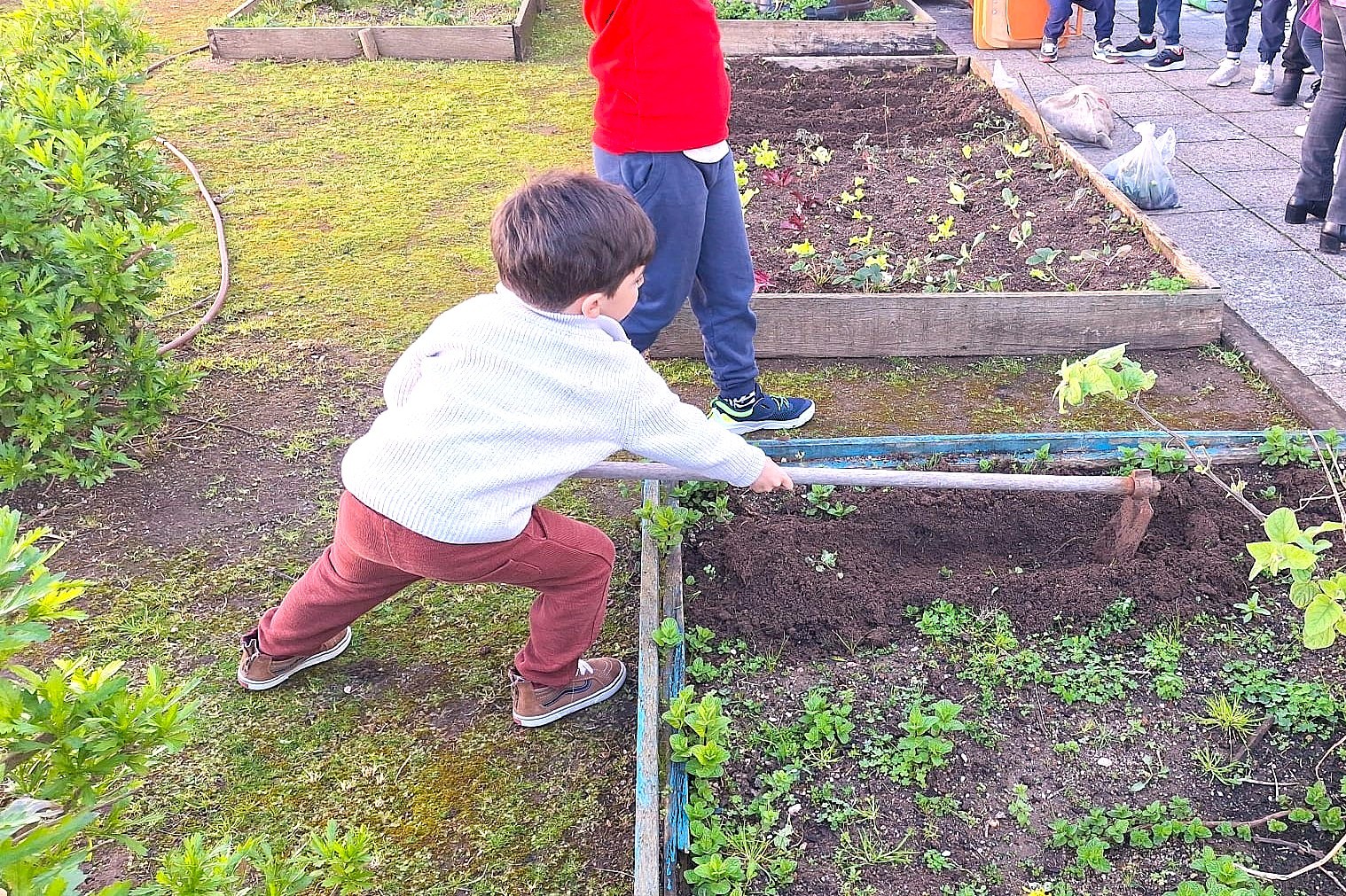 Preparação da terra para a plantação.