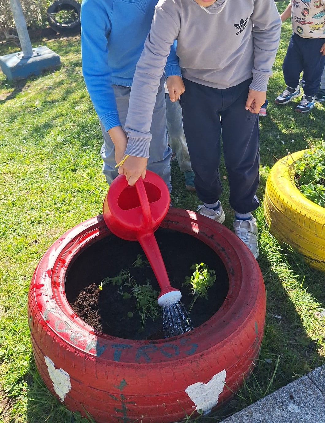 Rega de canteiros em pneus reciclados.