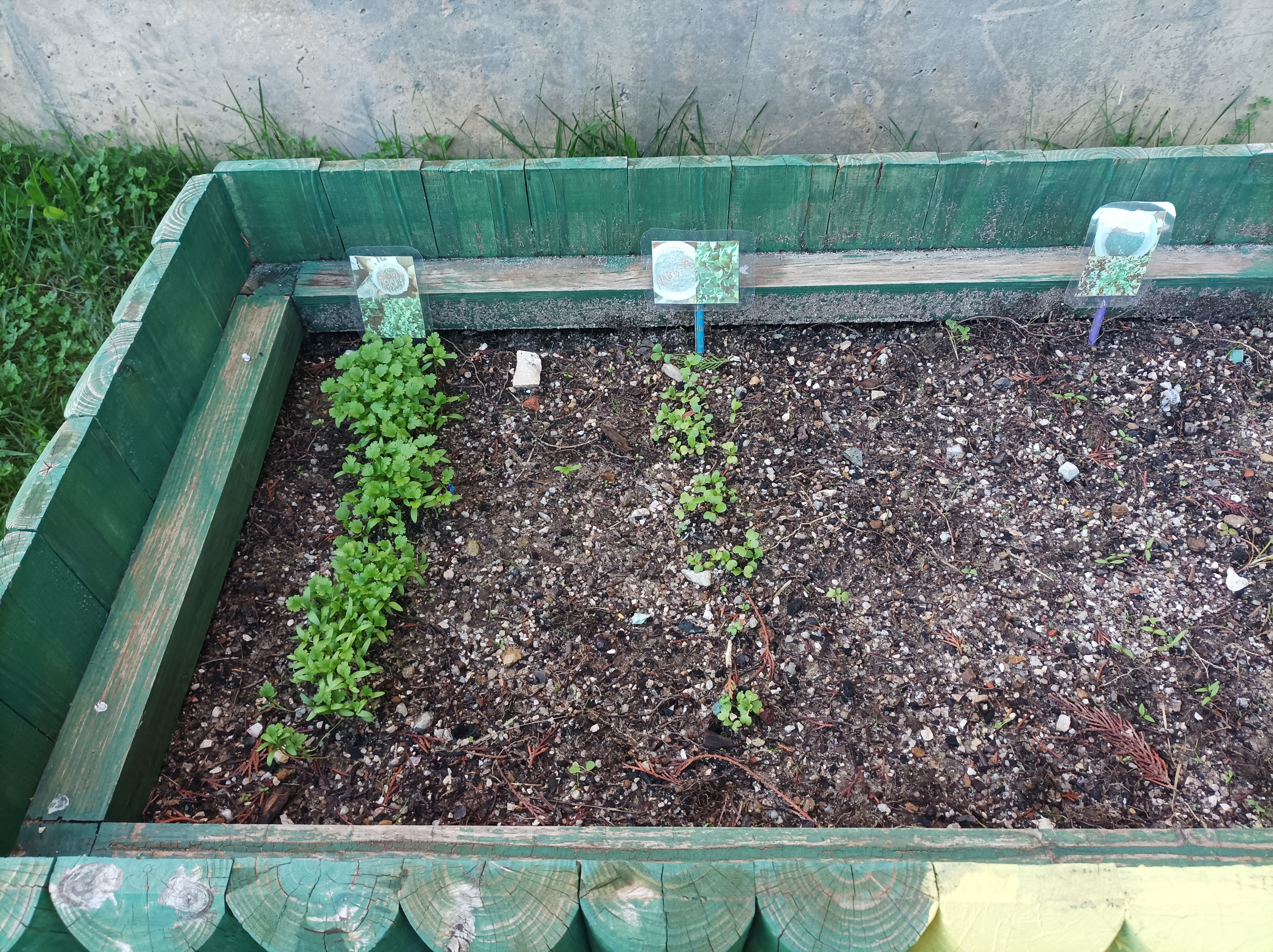 as aromáticas que conseguiram sobreviver.