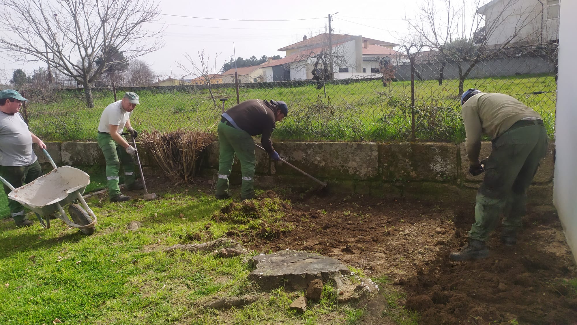 O parceiro Eco - Escolas ( Câmara Municipal de Sabrosa) disponibiliza pessoal na preparação do solo (cavar, limpar, nivelar), com a observação dos alunos e ajuda na limpeza.
Terra/composto - A compostagem dos resíduos orgânicos é feita pela Escola.