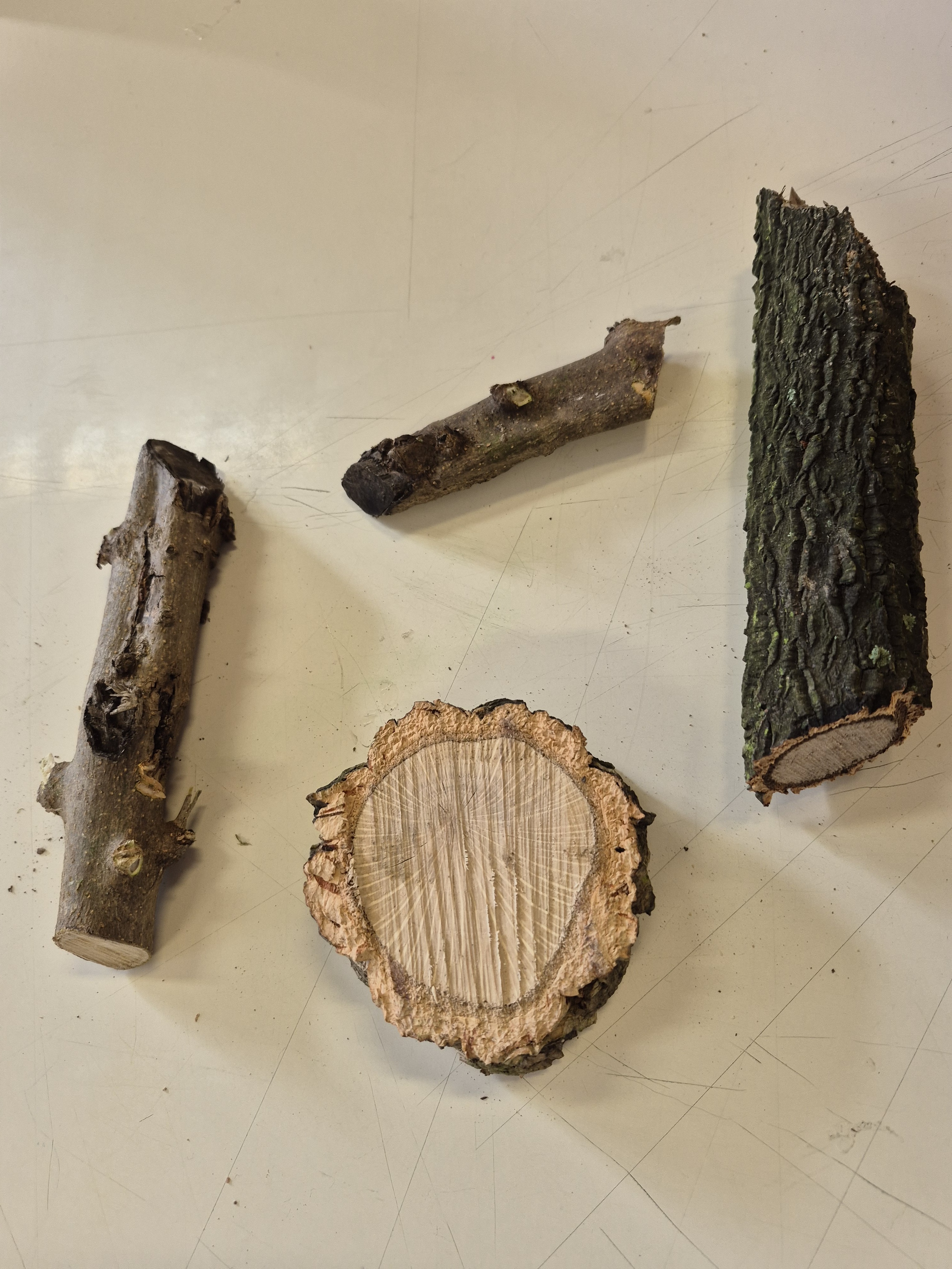 "Biodiversidade, a riqueza da natureza..."