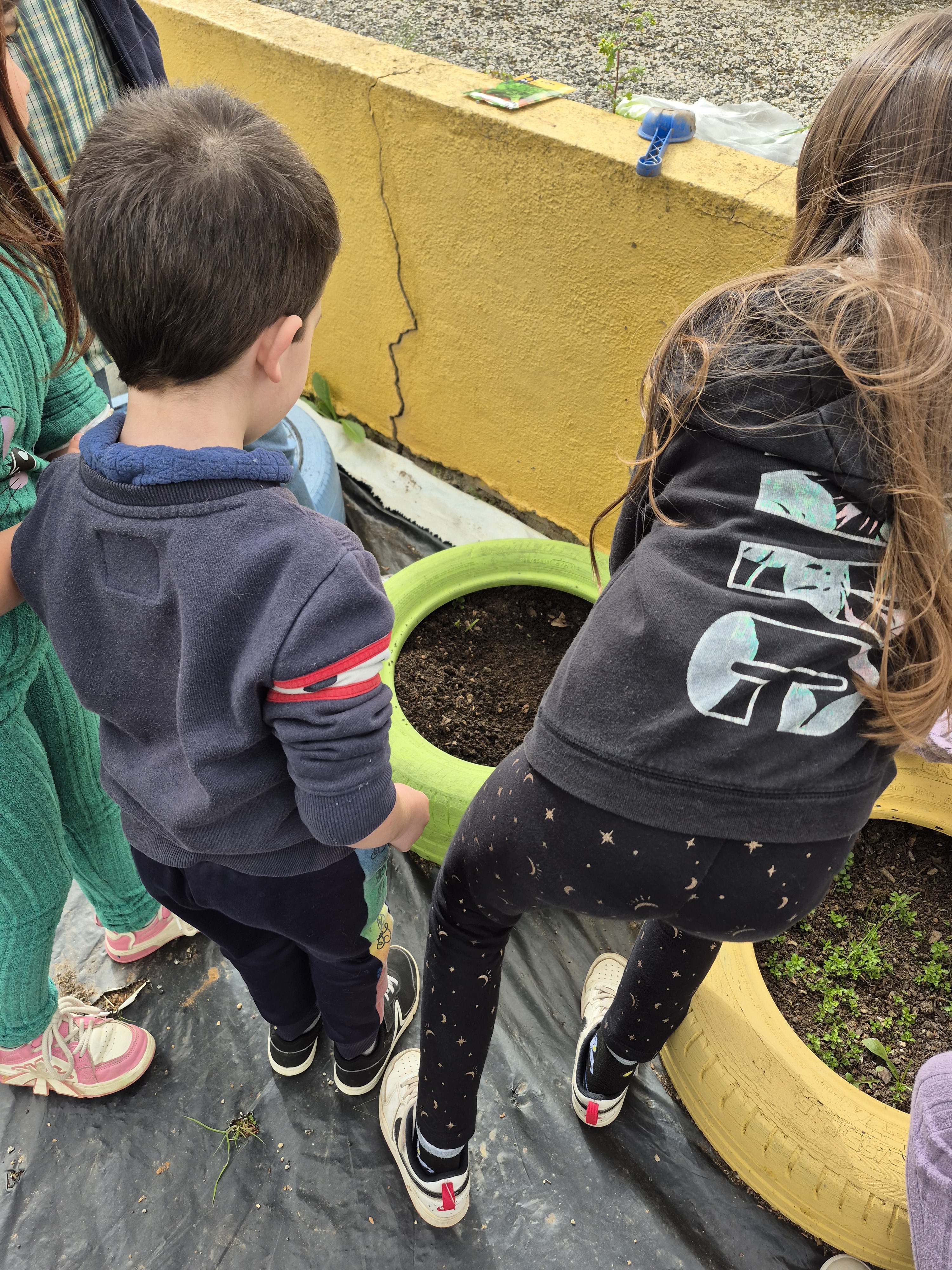 "Sementes pequenas, grandes colheitas..."