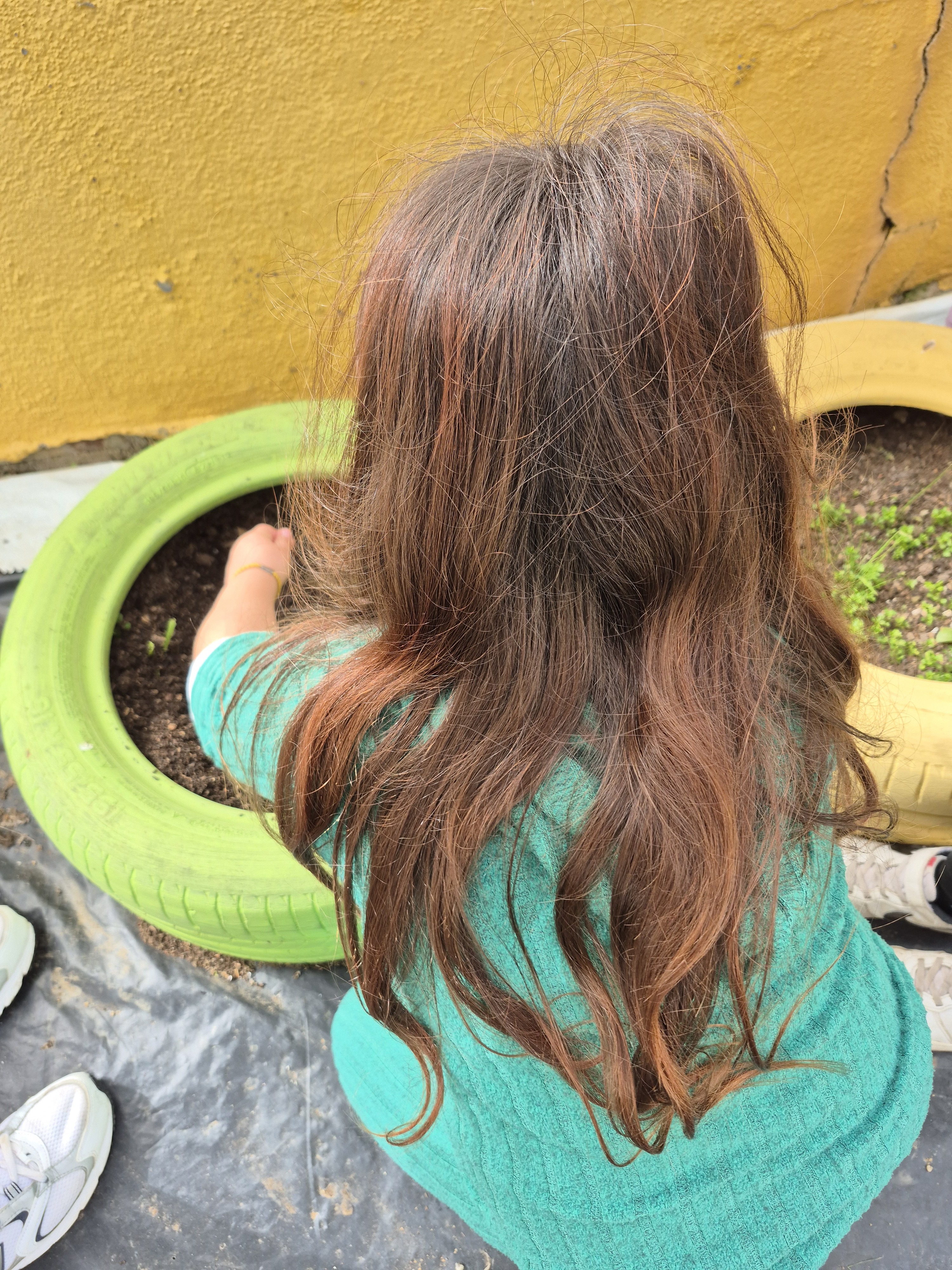 "Plantar hoje para colher amanhã..."