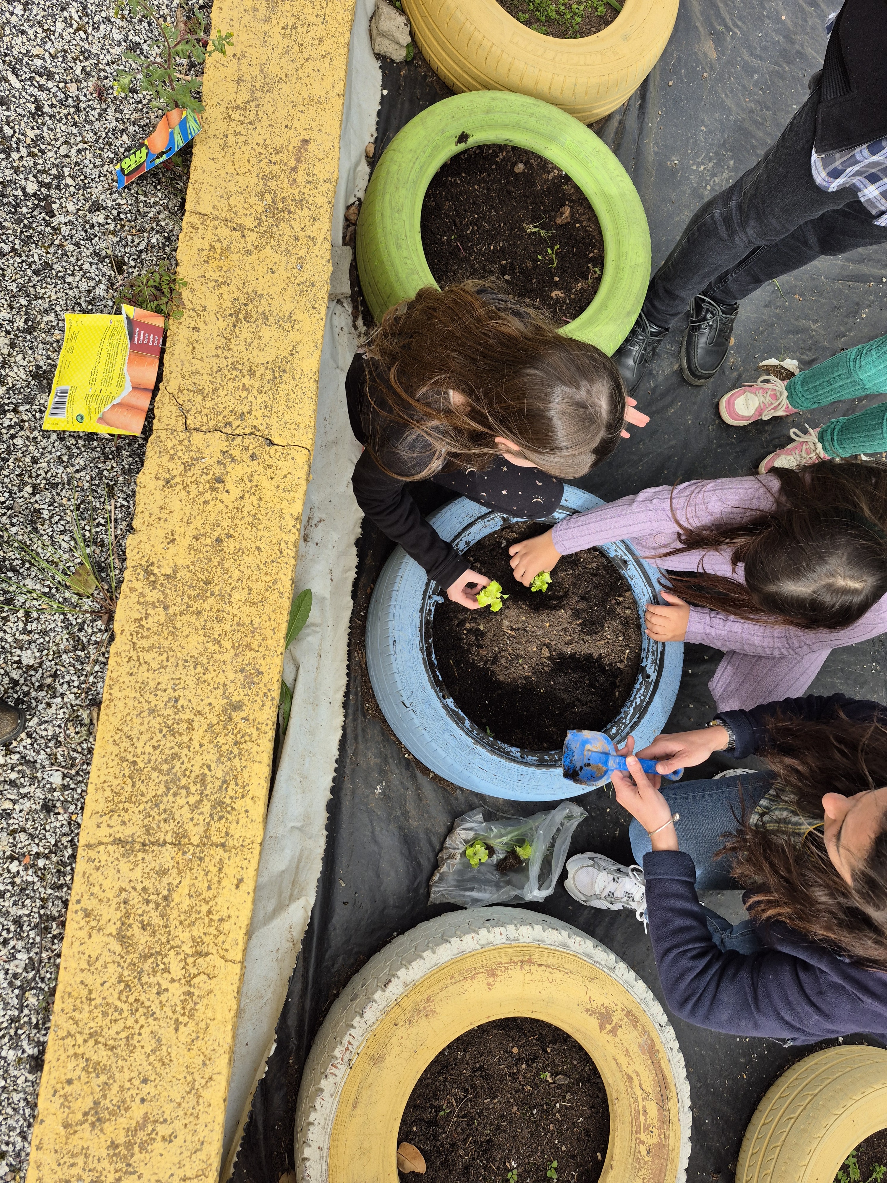 "Tudo começa com uma pequena planta..."