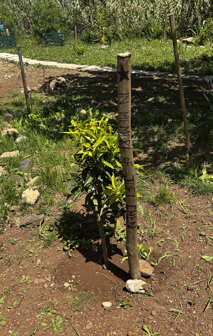 Planting with intention — every plant contributes to a garden built on respect, memory, and sustainability.