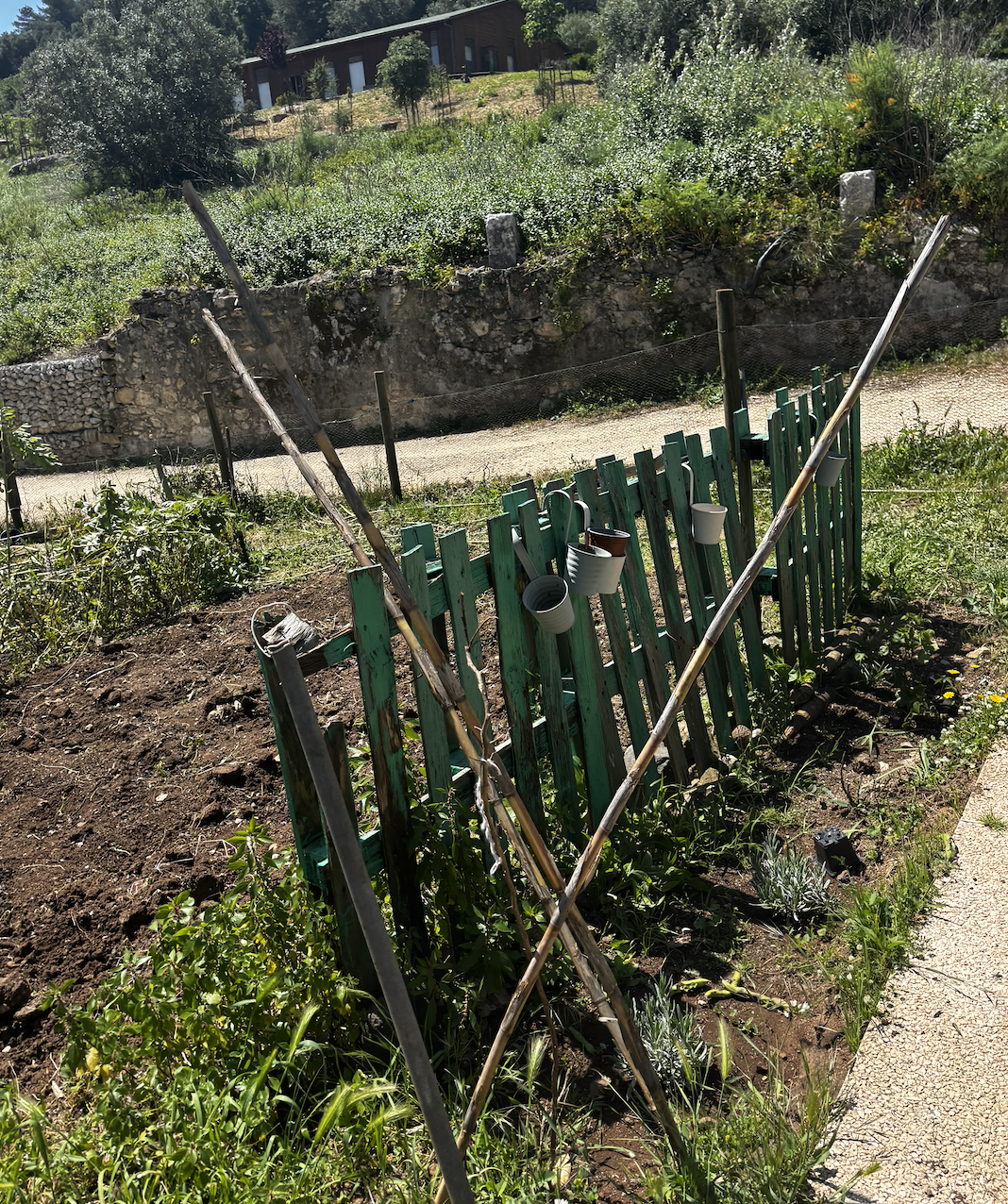 Transforming fences into living green walls 
Replacing metal boundaries with bushes and plants to bring nature closer and create a softer, more welcoming space.