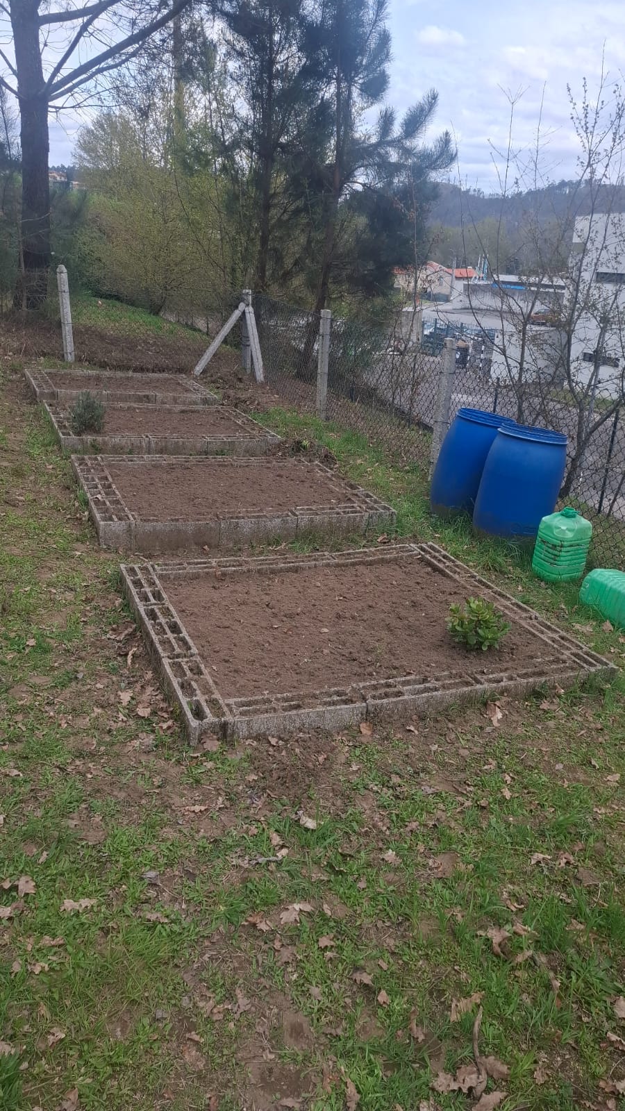 Nutrição e planeamento da rega.