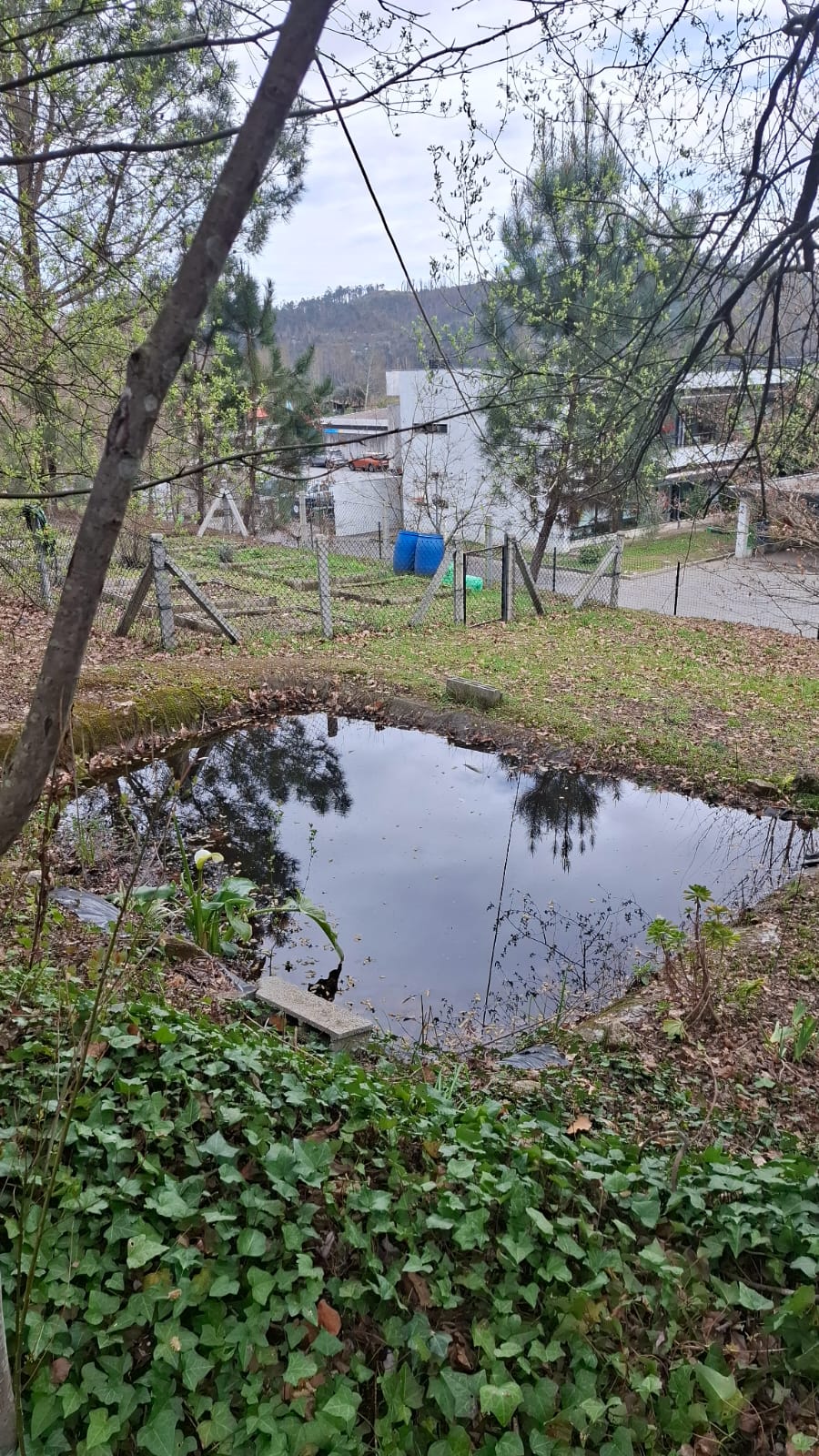Manutenção do charco.