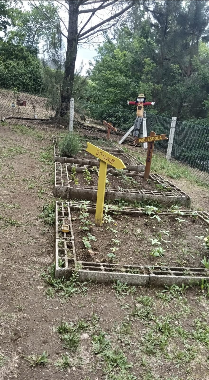 Espantalho na horta.