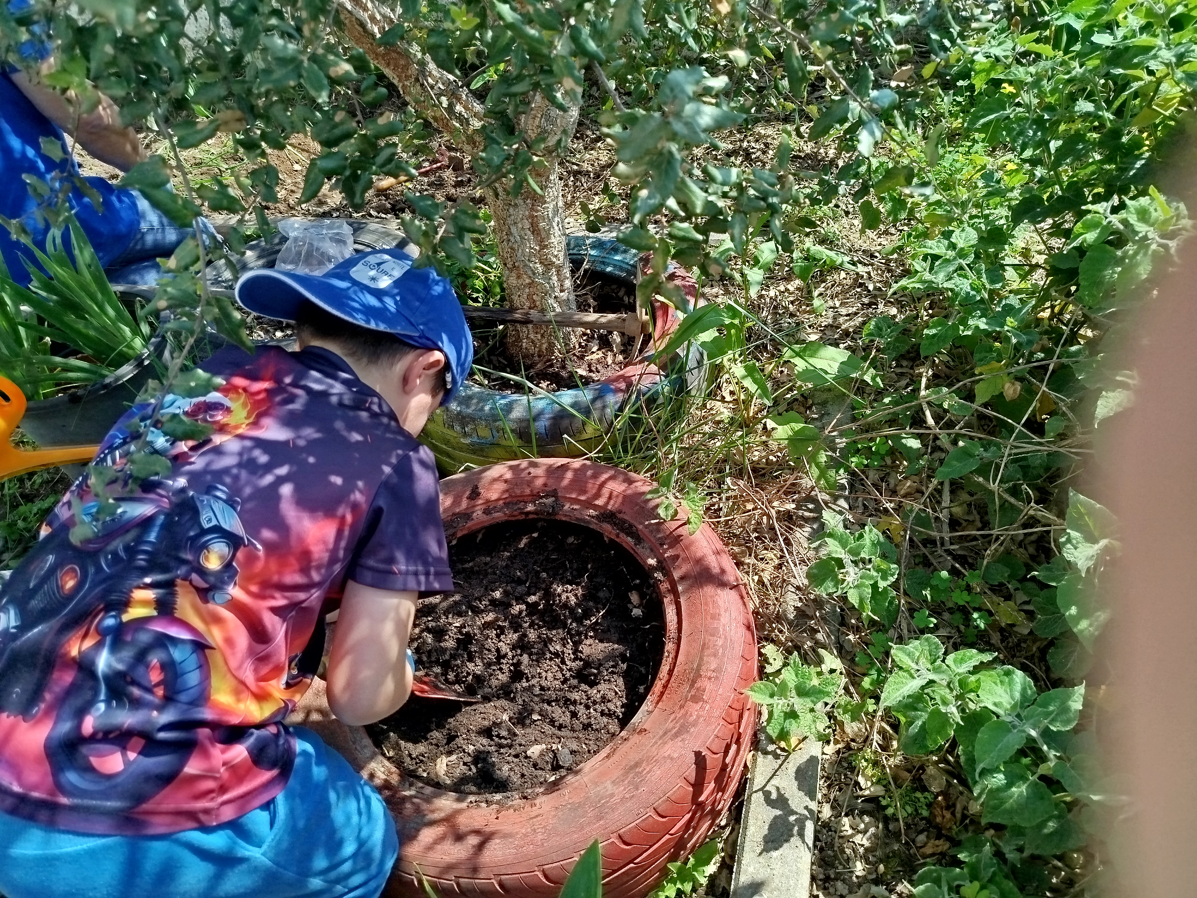 Criança a preparar a terra num pneu reutilizado, destinado à posterior plantação de cebolinho, cuja semente foi enviada por uma avó. Esta atividade promove a educação ambiental, a reutilização de materiais e o envolvimento da família, reforçando práticas