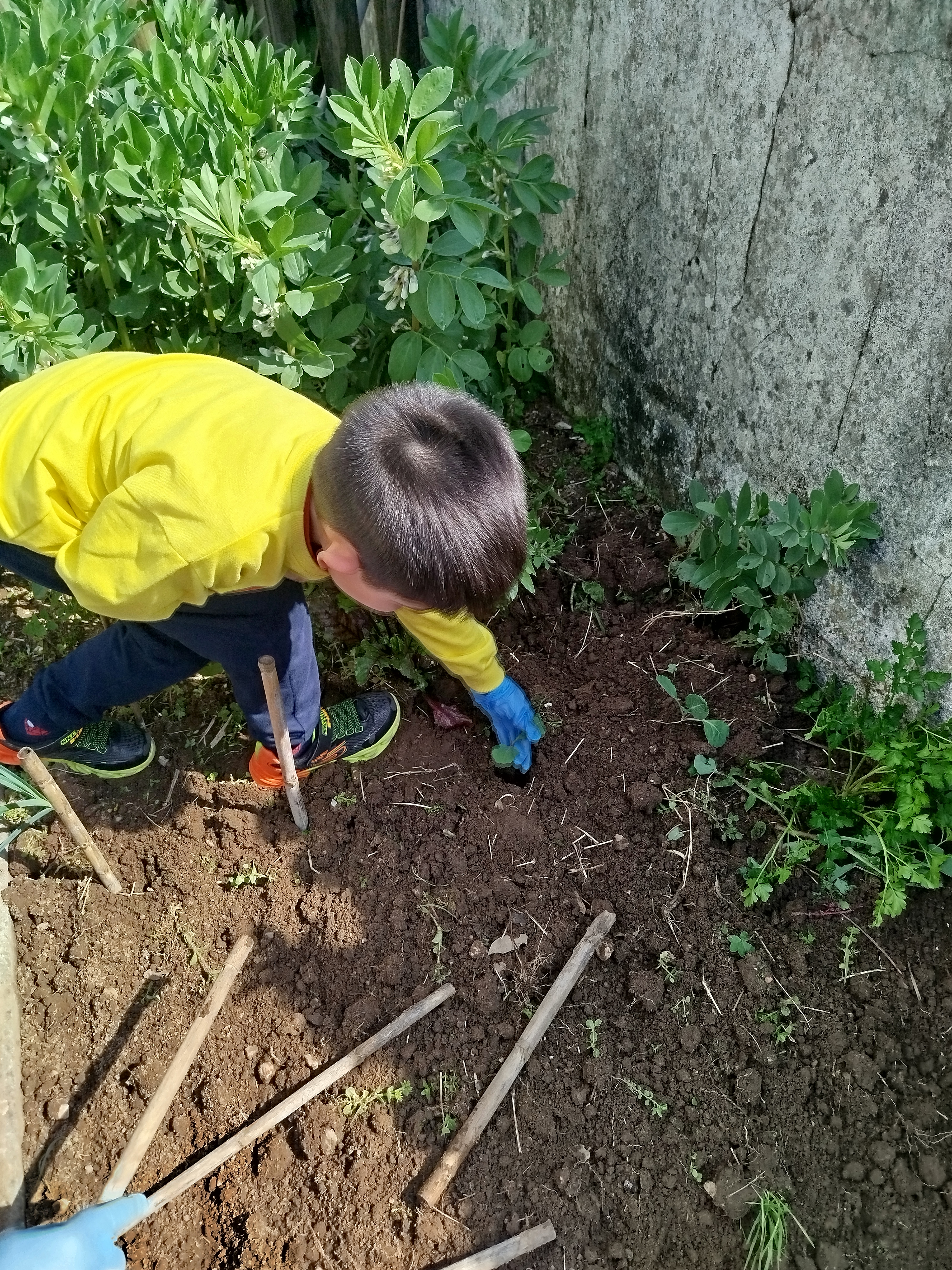 Criança a cuidar da horta