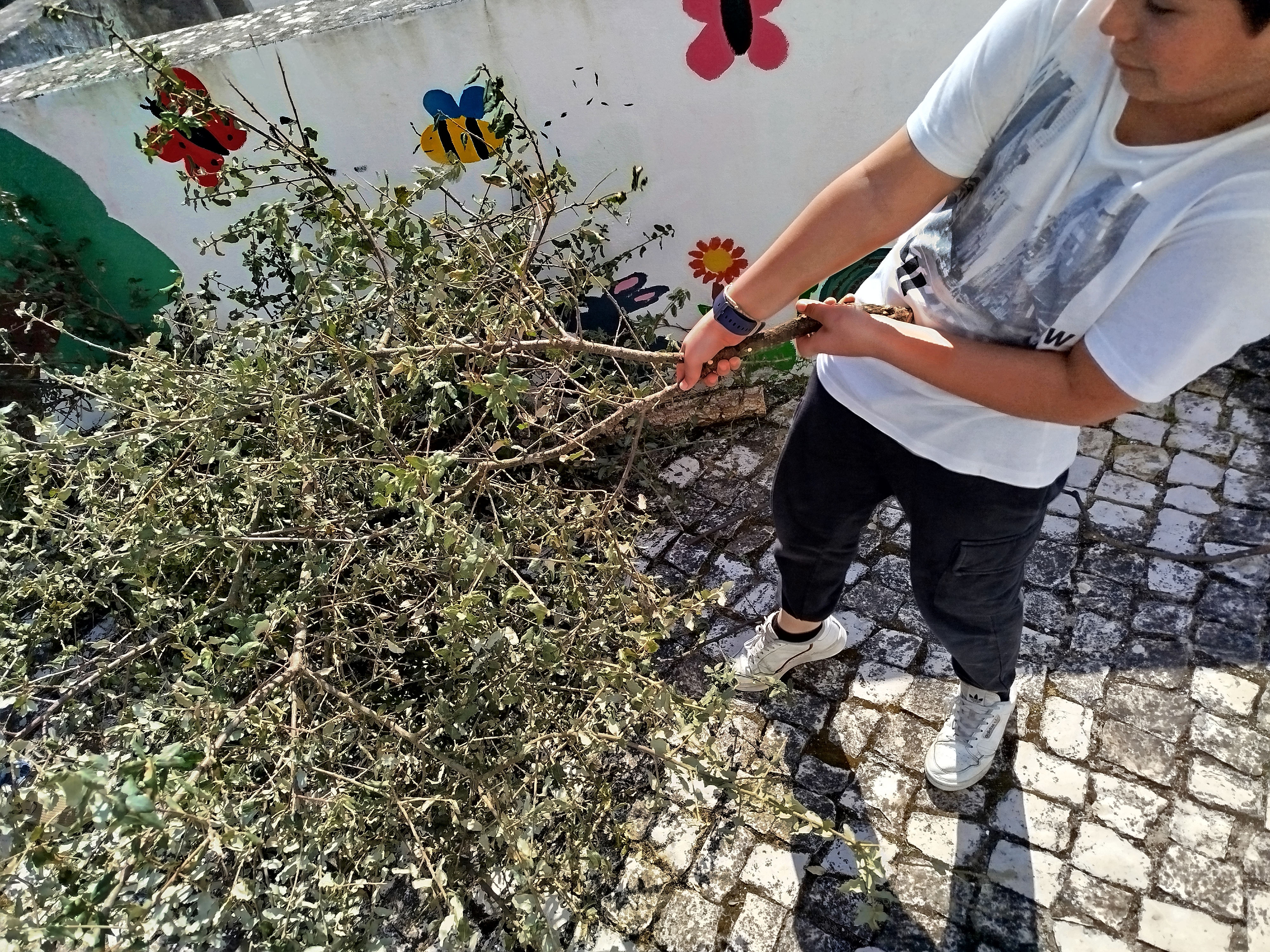Criança a observar e a manusear pequenos ramos de uma árvore existente na horta escolar, demonstrando curiosidade e contacto direto com a natureza. Esta atividade promove a ligação ao meio natural, o respeito pelas plantas e a sensibilização para a import