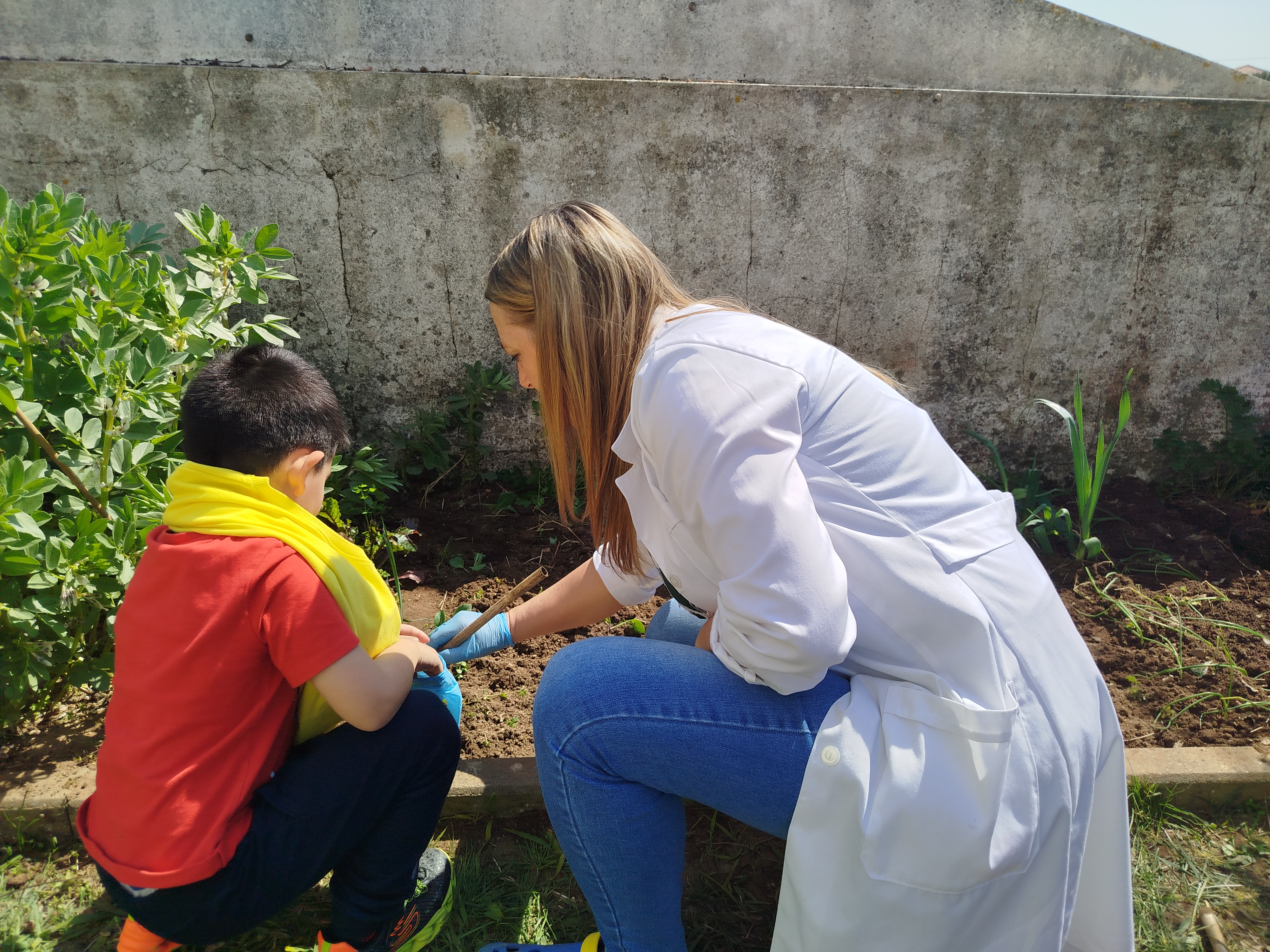 Em conjunto a cuidar da horta escolar, realizando tarefas de manutenção e acompanhamento das culturas.