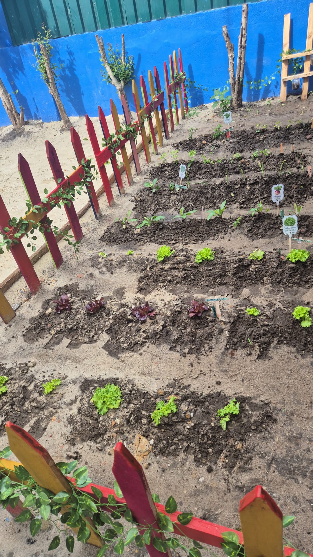 Enquadramento geral - plantações horta escolar