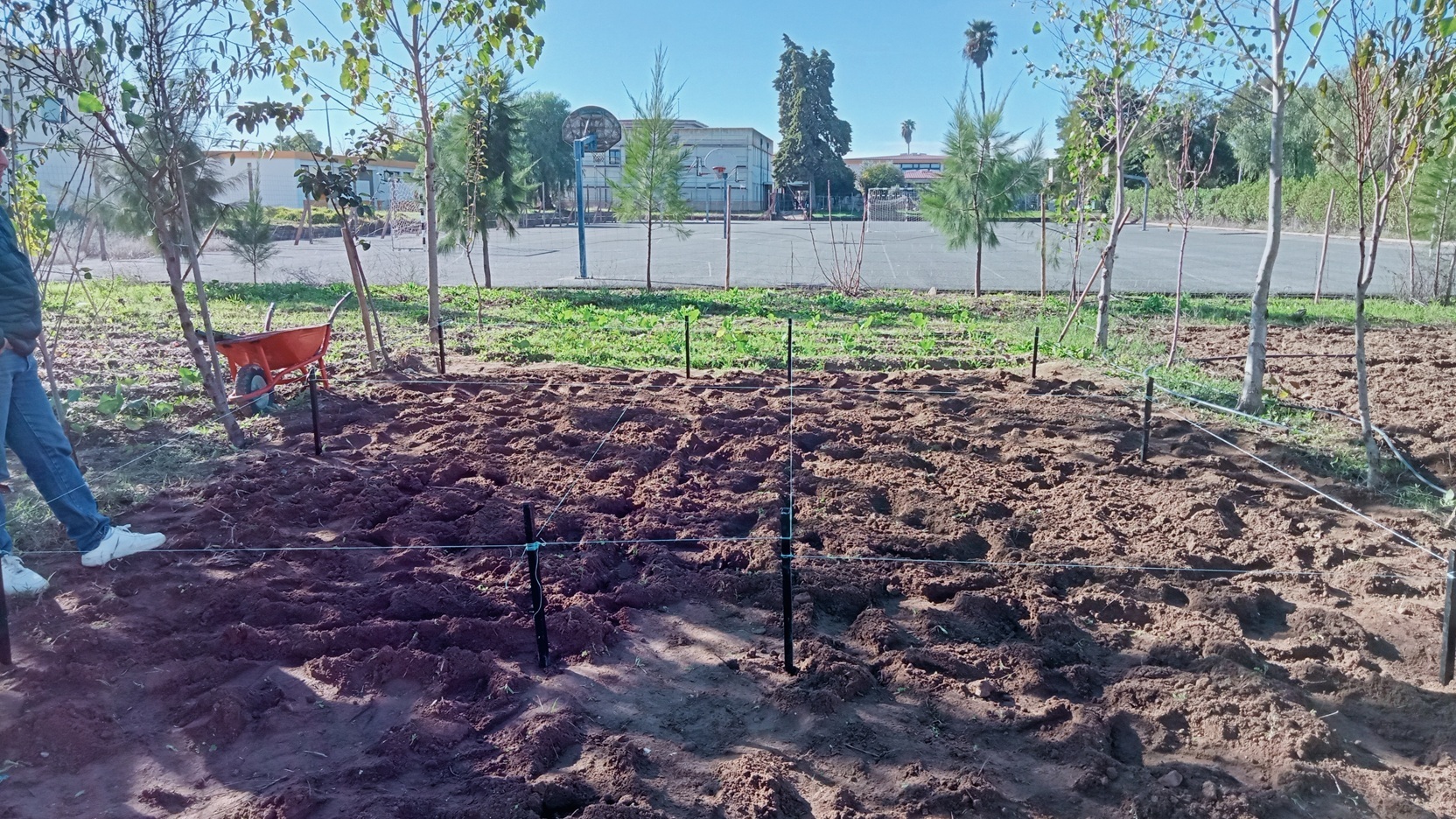 Preparação do terreno para plantação.
