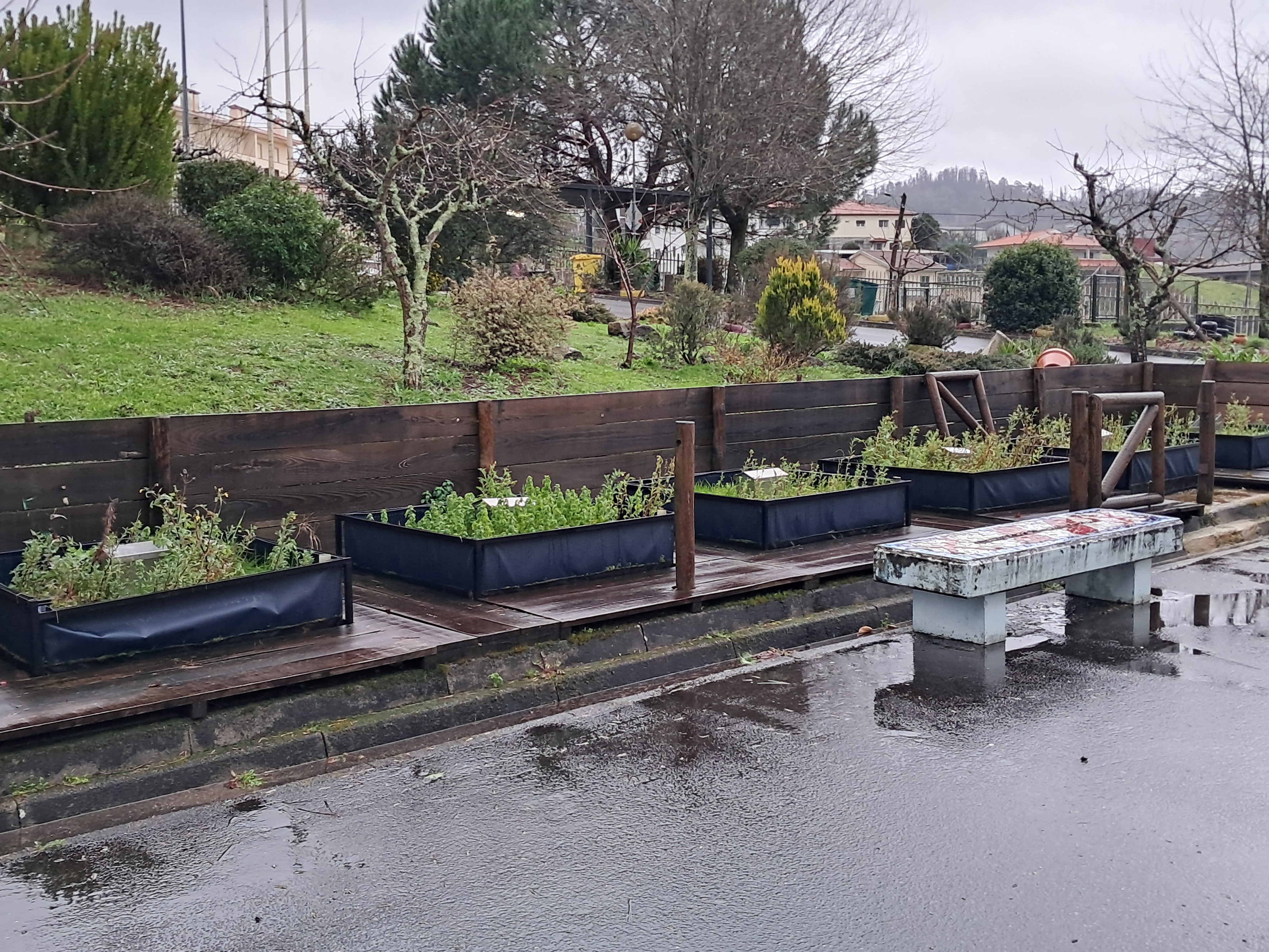 Horta com ervas daninhas.