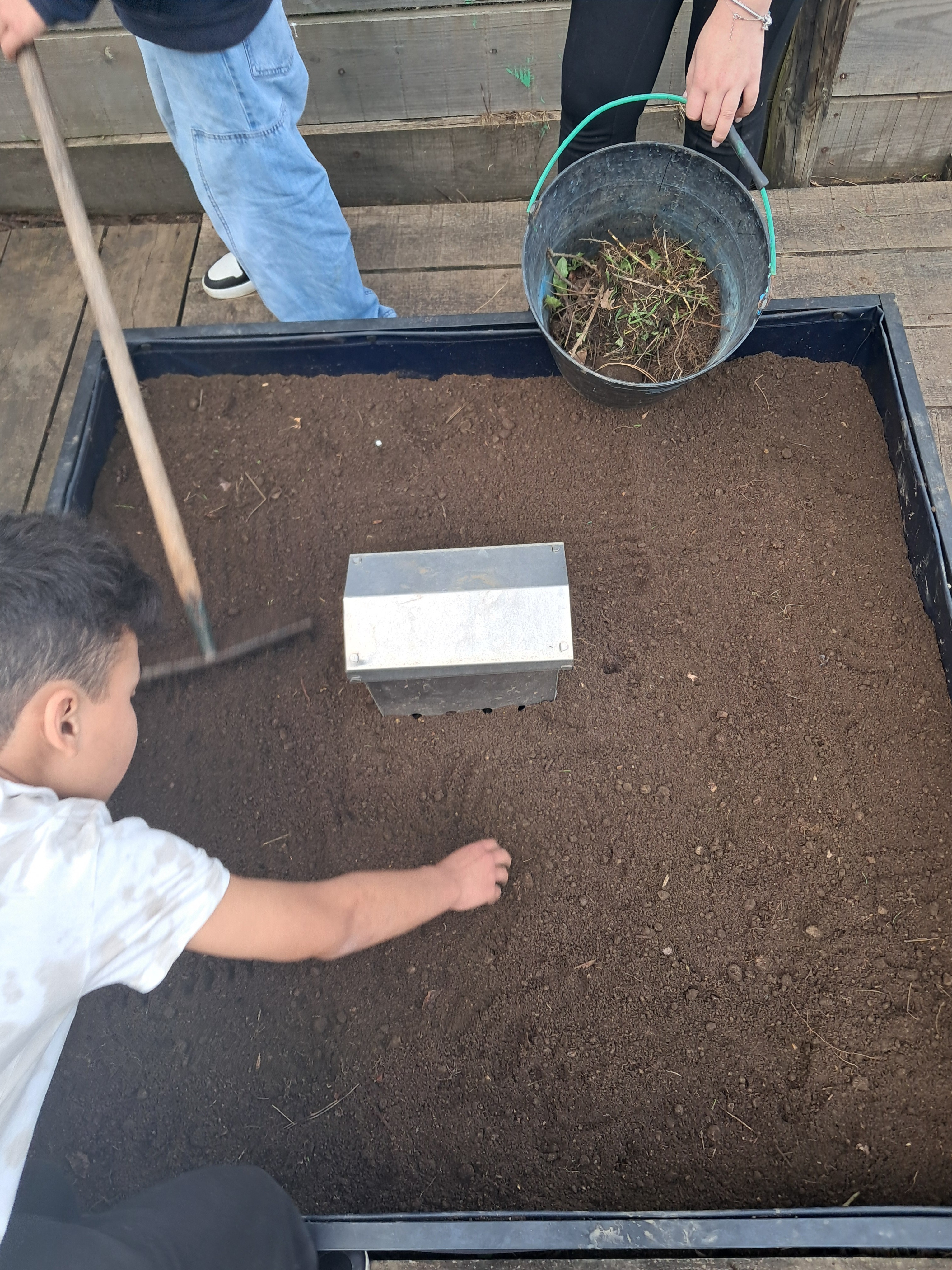Nivelar e preparar o solo para cultivo.