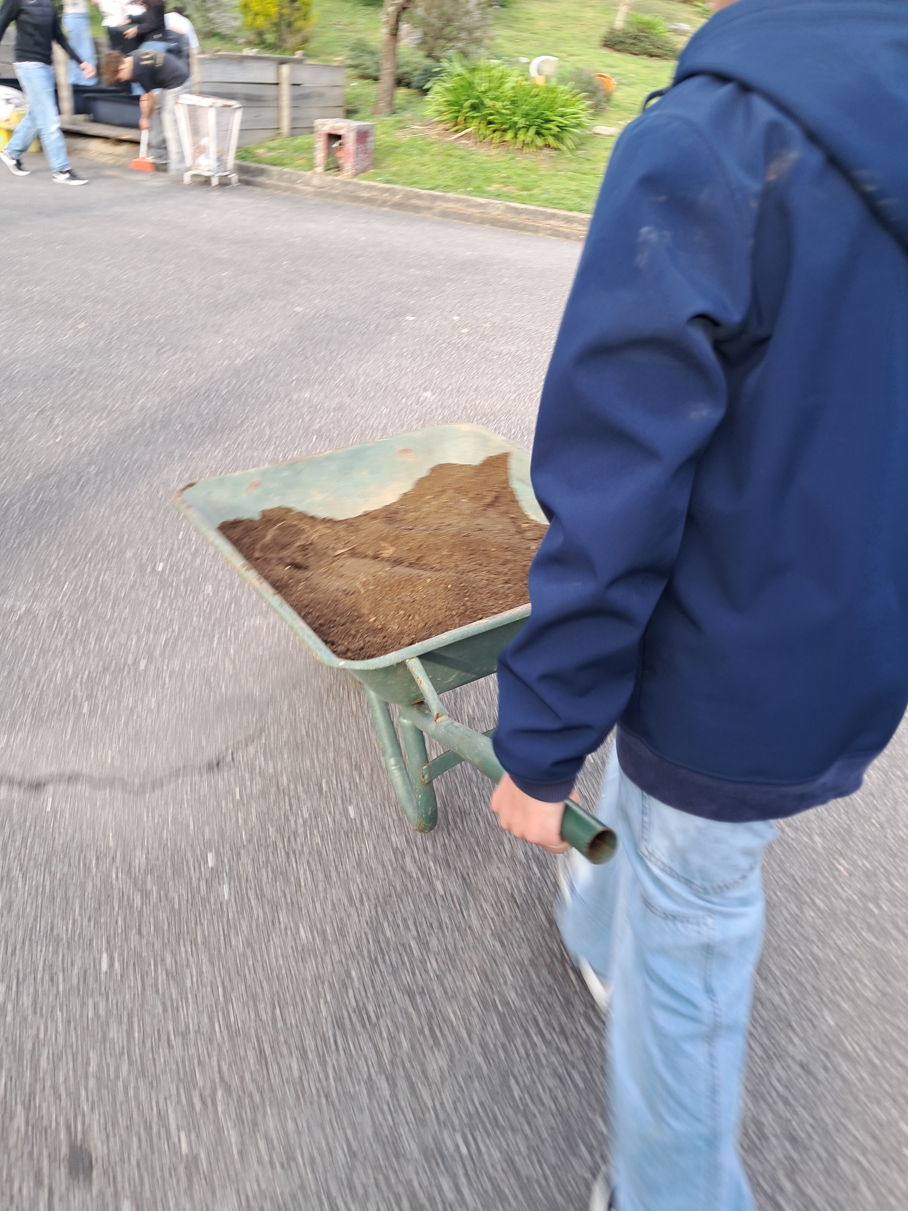 Transporte de solo em carrinho de mão para enchimento dos seis canteiros.