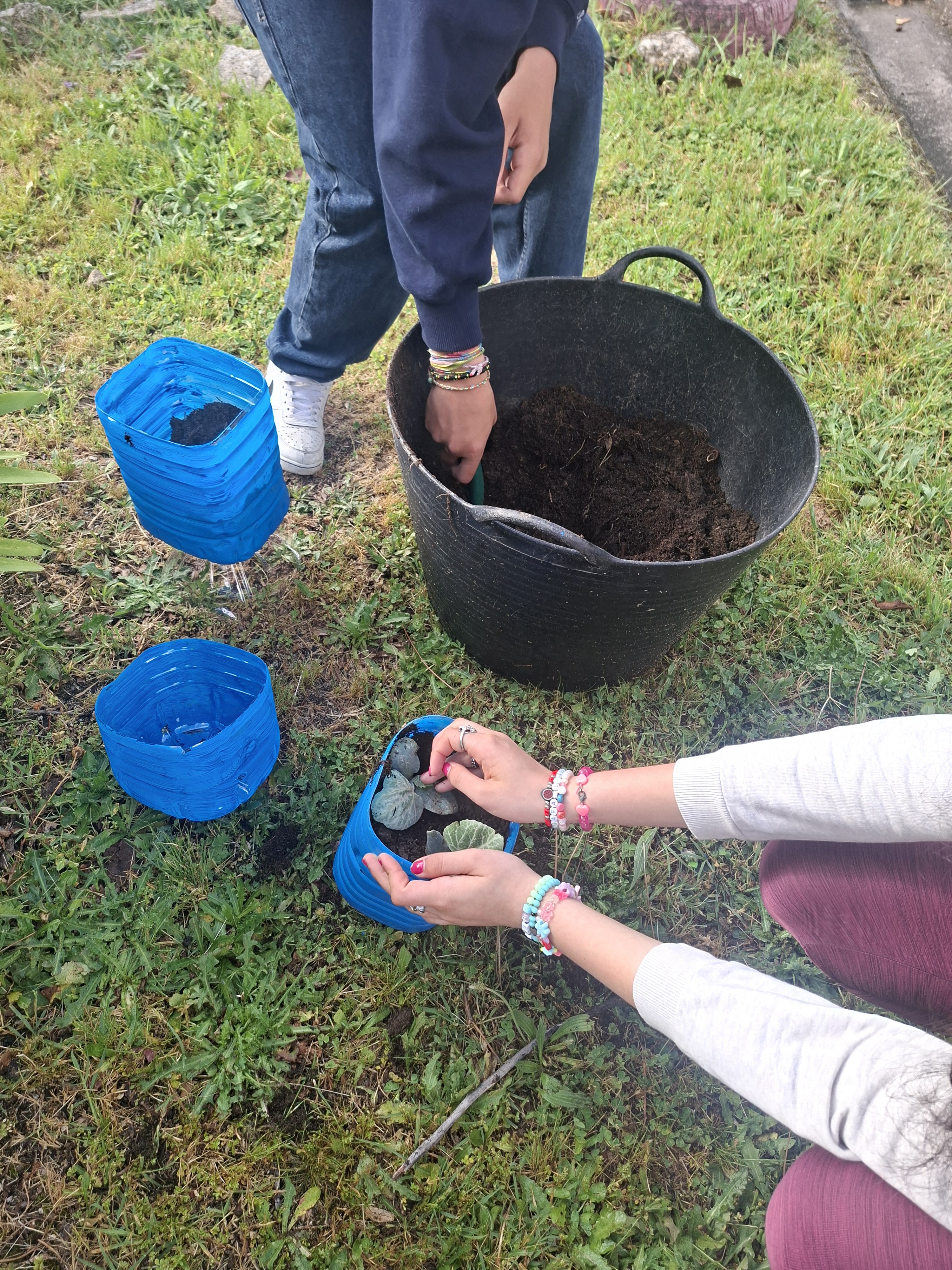 Plantação abóboras manteiga em vasos feitos de garrafões de plástico.