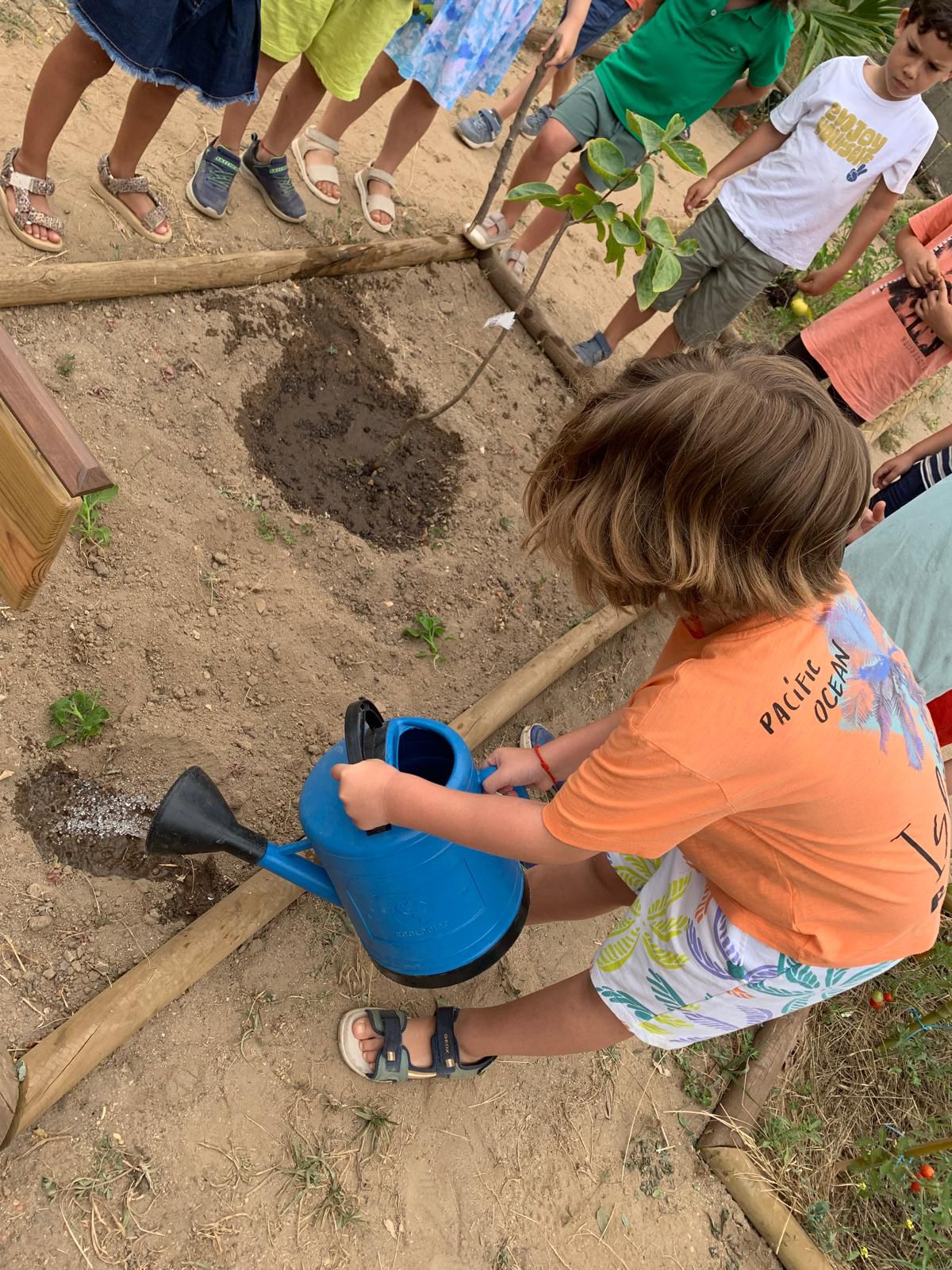 Momento de plantação de uma árvore na Horta Feliz, com a participação ativa das crianças. A atividade incluiu a colocação da planta no solo e a rega inicial, promovendo o contacto direto com a terra e o cuidado com os seres vivos desde o início do projeto