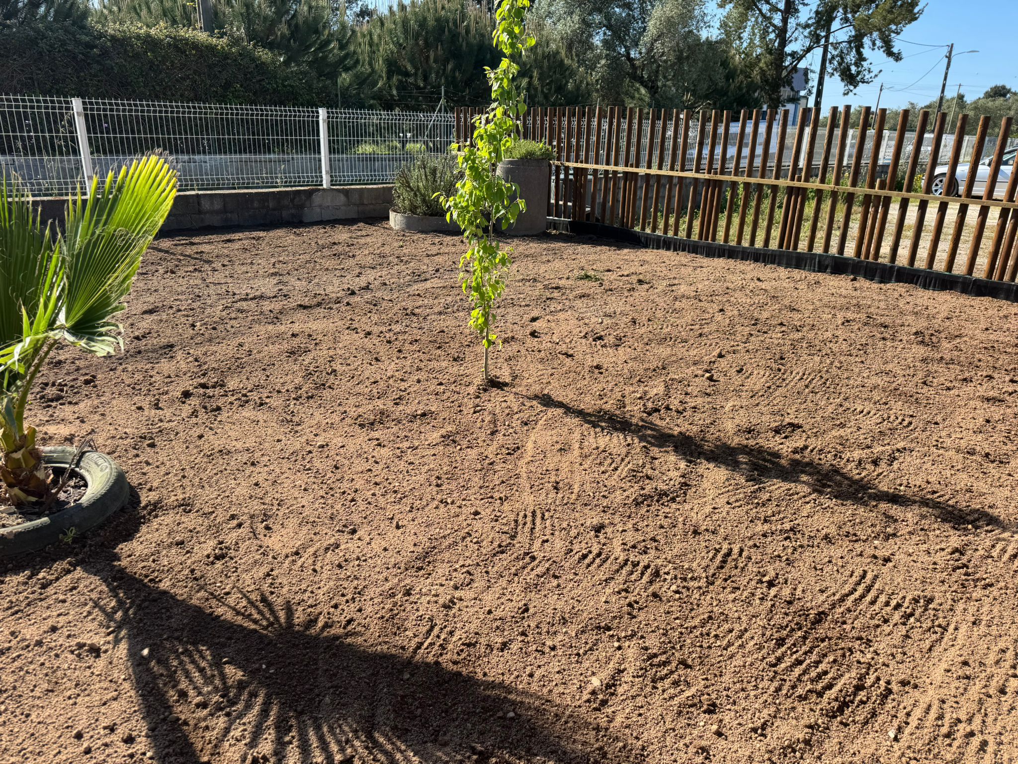 Preparação e organização do terreno
Após a limpeza do espaço, o terreno da Horta Feliz foi cuidadosamente nivelado e preparado, criando as condições necessárias para a plantação. Esta etapa marcou o início prático do projeto, permitindo planear a horta.