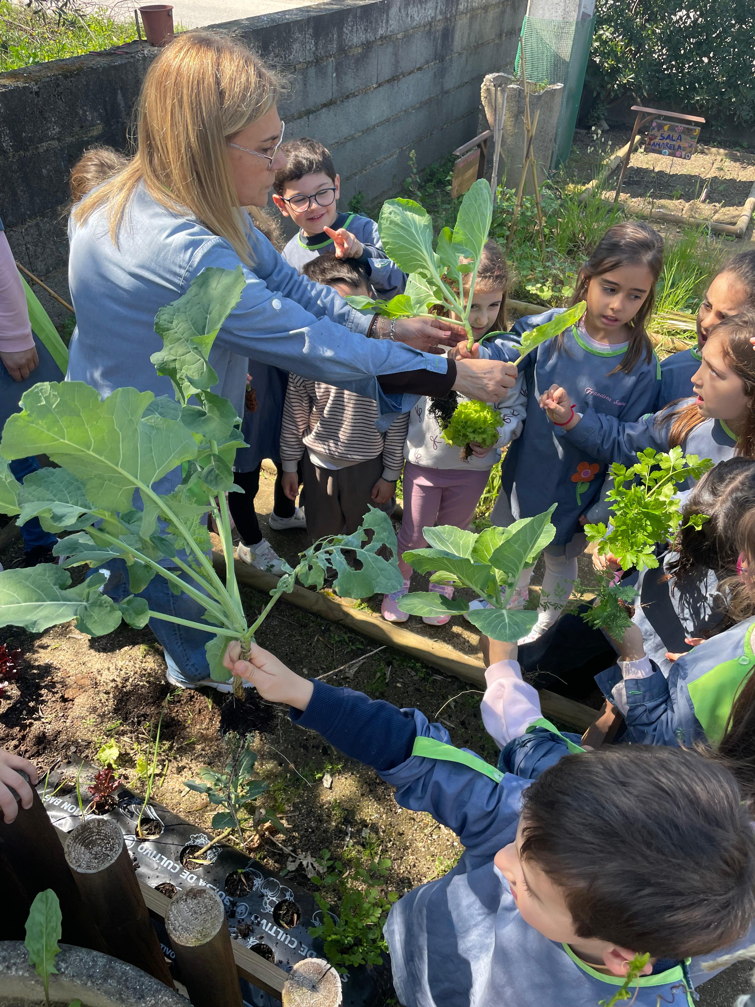 Dia de Colheita na Horta: 
As crianças colheram couves, cenouras, salsa e alface, observando o percurso dos alimentos da terra ao prato. Entre mãos na terra e curiosidade, este momento promoveu aprendizagens sobre sobre origem, sazonalidade e alimentação
