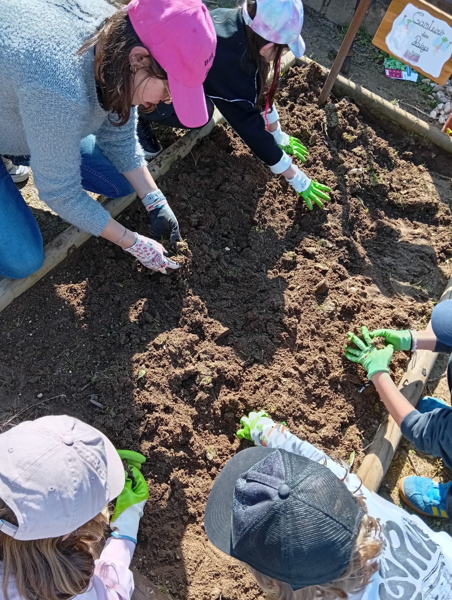 Mãos à Obra: 
Após os diversos prejuízos com a passagem do vento, voltamos a arregaçar as mangas e a colocar as mãos na terra e a prepará-la para novas plantações.