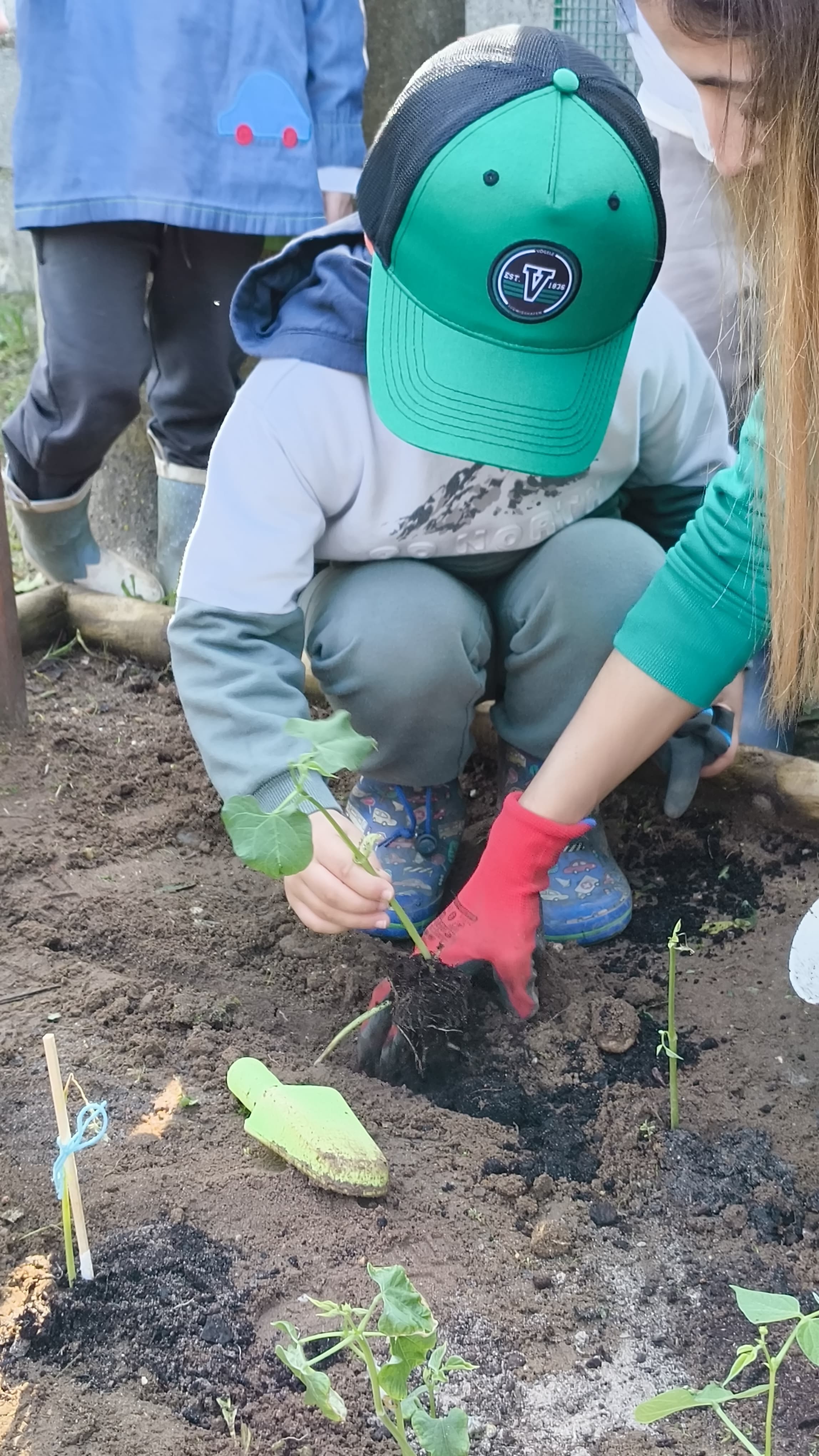 Da germinação na sala à plantação na horta:
As crianças do pré-escolar, após terem realizado o processo de germinação do feijão em sala de aula, foram até à Horta Feliz fazer a sua plantação para continuarem a acompanhar o seu crescimento.