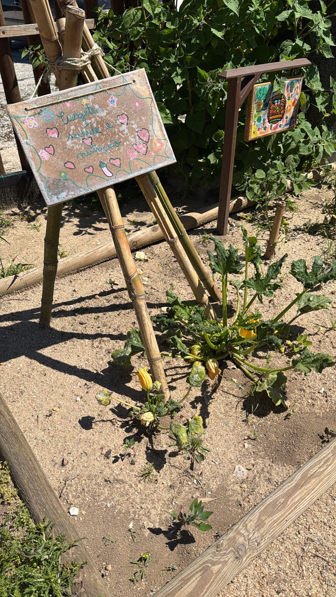 Cabana de Curgetes em Crescimento:
A nossa cabana começa a transformar-se num espaço cada vez mais verde e florido. As primeiras flores anunciam a chegada das curgetes e mostram o resultado do cuidado, da dedicação e do entusiasmo das crianças na Horta.
