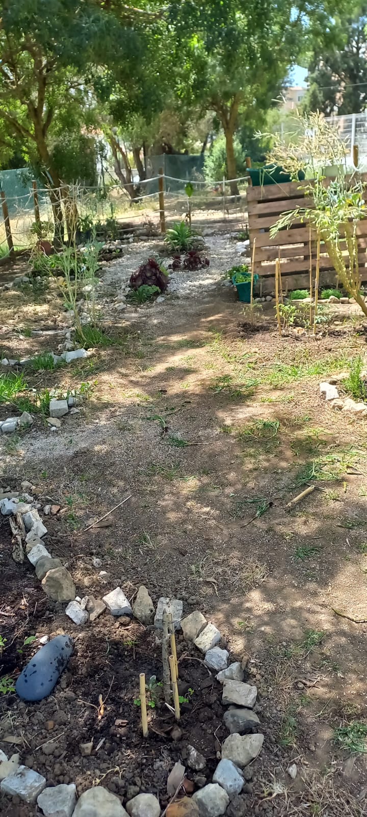 Foto de parte da horta, já limpa.