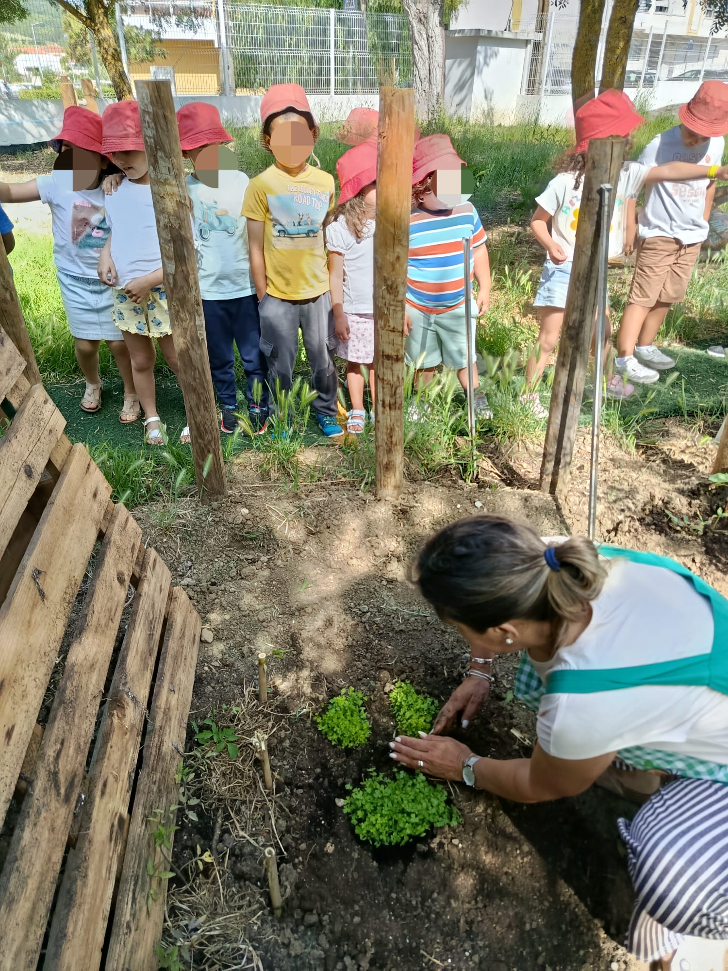 Participação de assistente na plantação.