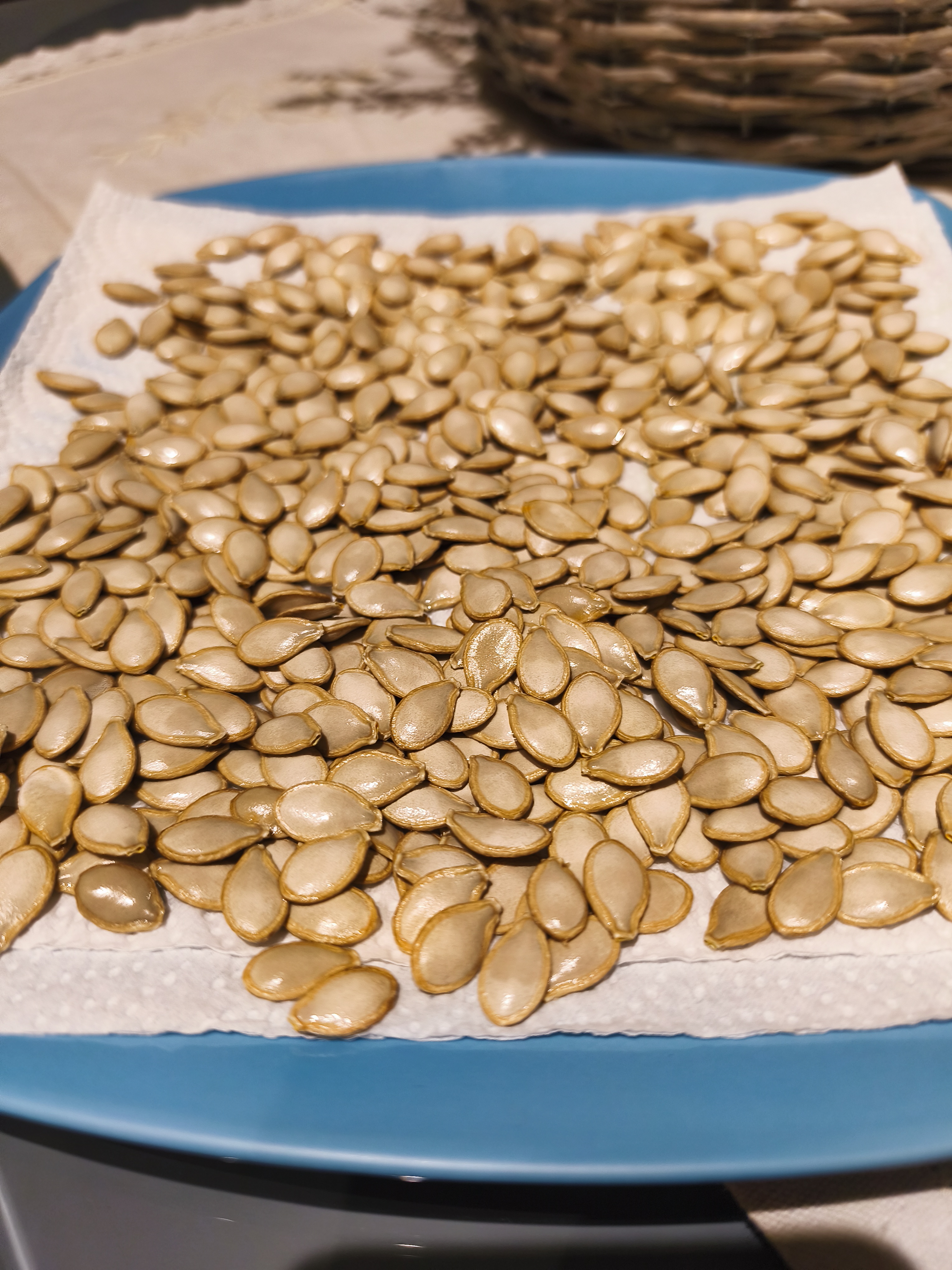 sementes de abóbora - prontas para plantação no início de abril