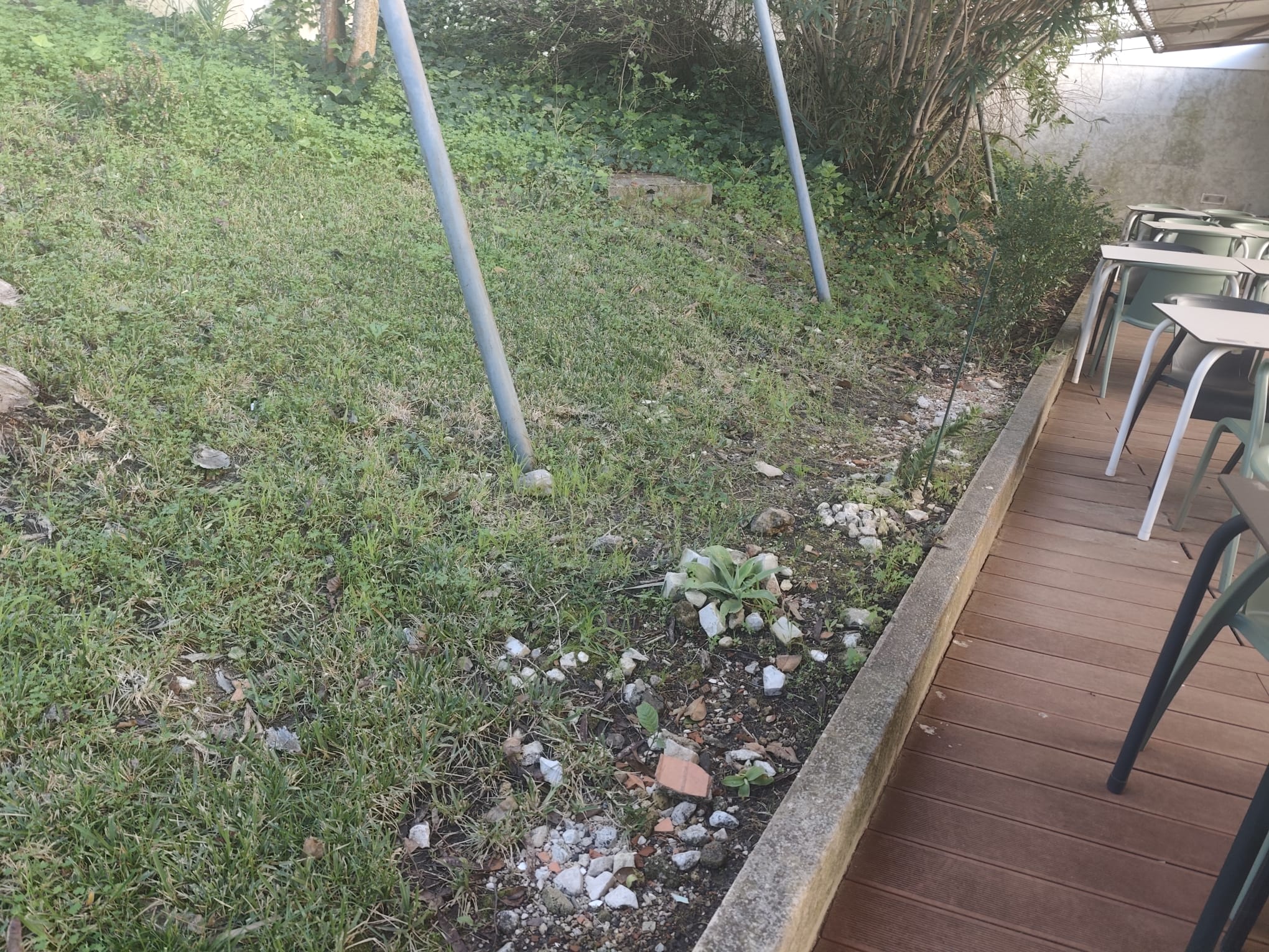 Um projeto que "cuida de quem cuida". Escolhemos o local perfeito para garantir que cada planta seja sinónimo de bem-estar.