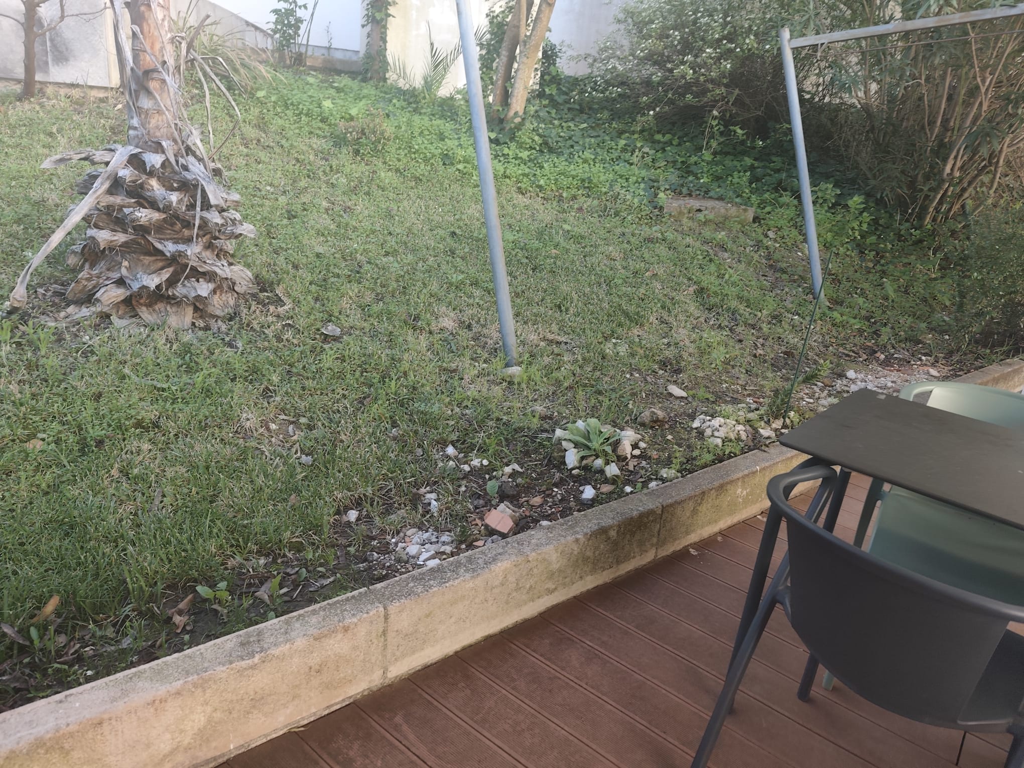 Um projeto que "cuida de quem cuida". Uma horta biológica pensada para todos os Estudantes que escolheram a nossa Escola Superior de Enfermagem da Universidade Lisboa (ESEUL).