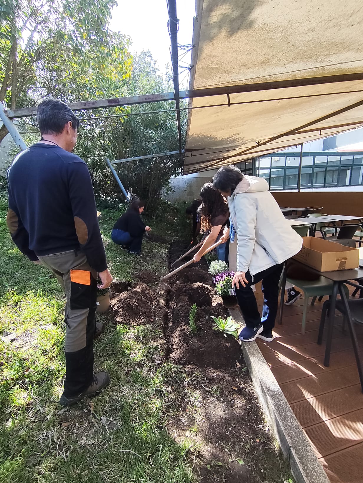 A Orquestra do Cuidado: docentes, estudantes e não docentes unidos no cultivo do bem-estar, sob o olhar atento do nosso Jardineiro!