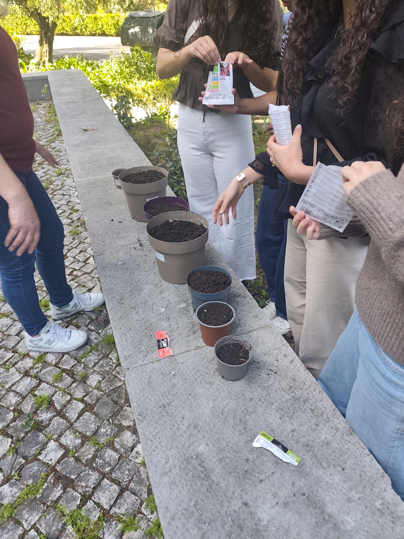 Reutilizamos vasos para acolher as sementes. Tal como os nossos estudantes que chegam de vários sítios, estas sementes encontram aqui o solo e o cuidado necessários para crescerem e florescerem na nossa academia!