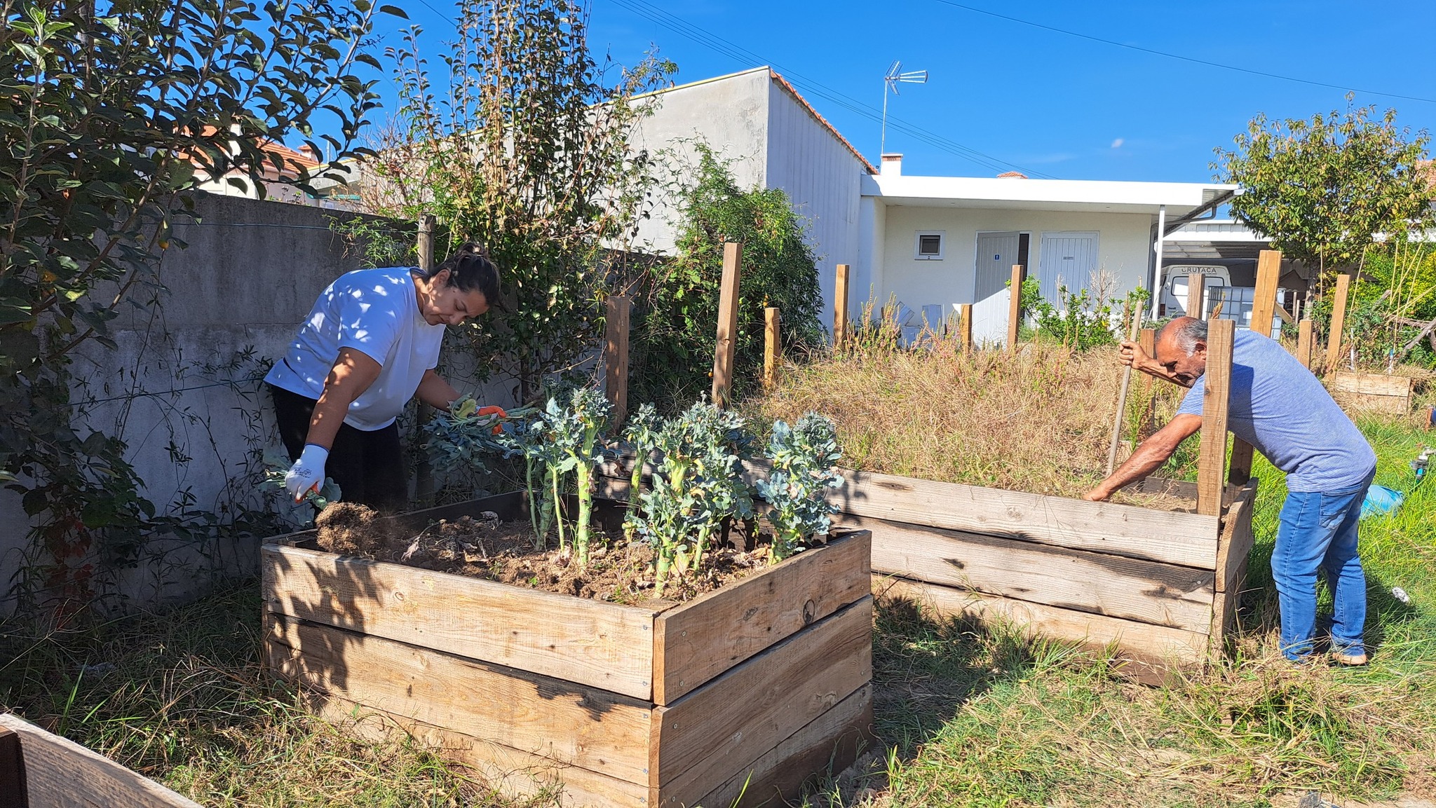 envolvimento da família na limpeza e organização da horta antes das sementeiras e plantações.