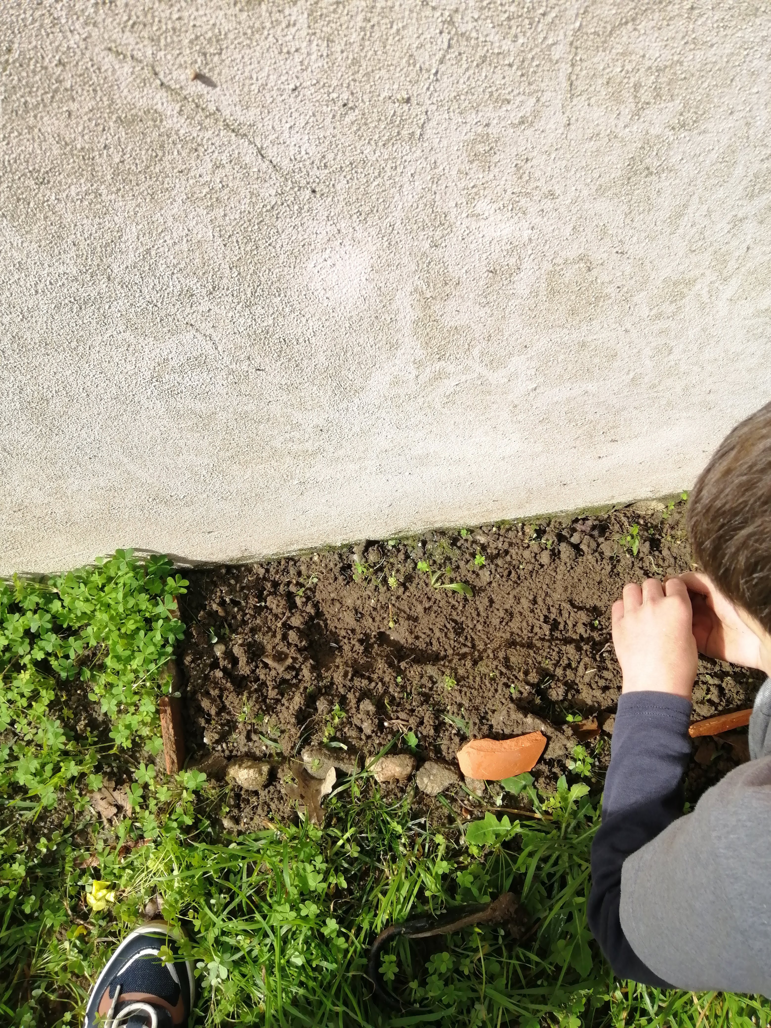 Arranjo da terra e cultivo